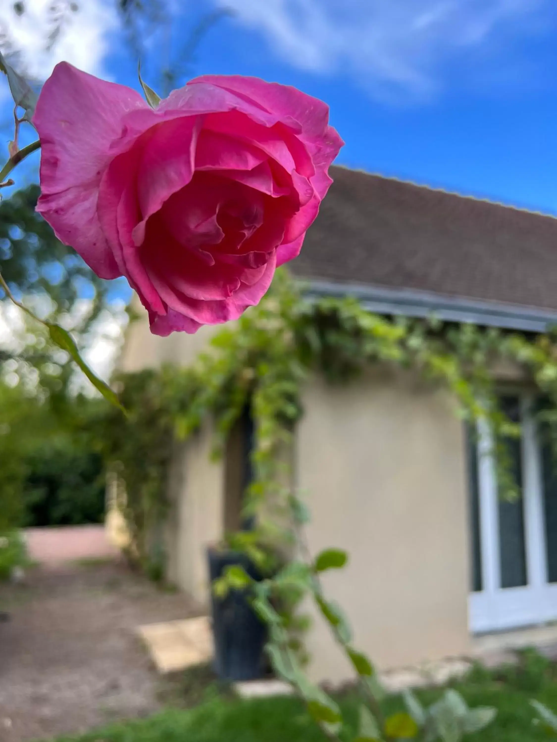 Garden in GSand Le Clos du May