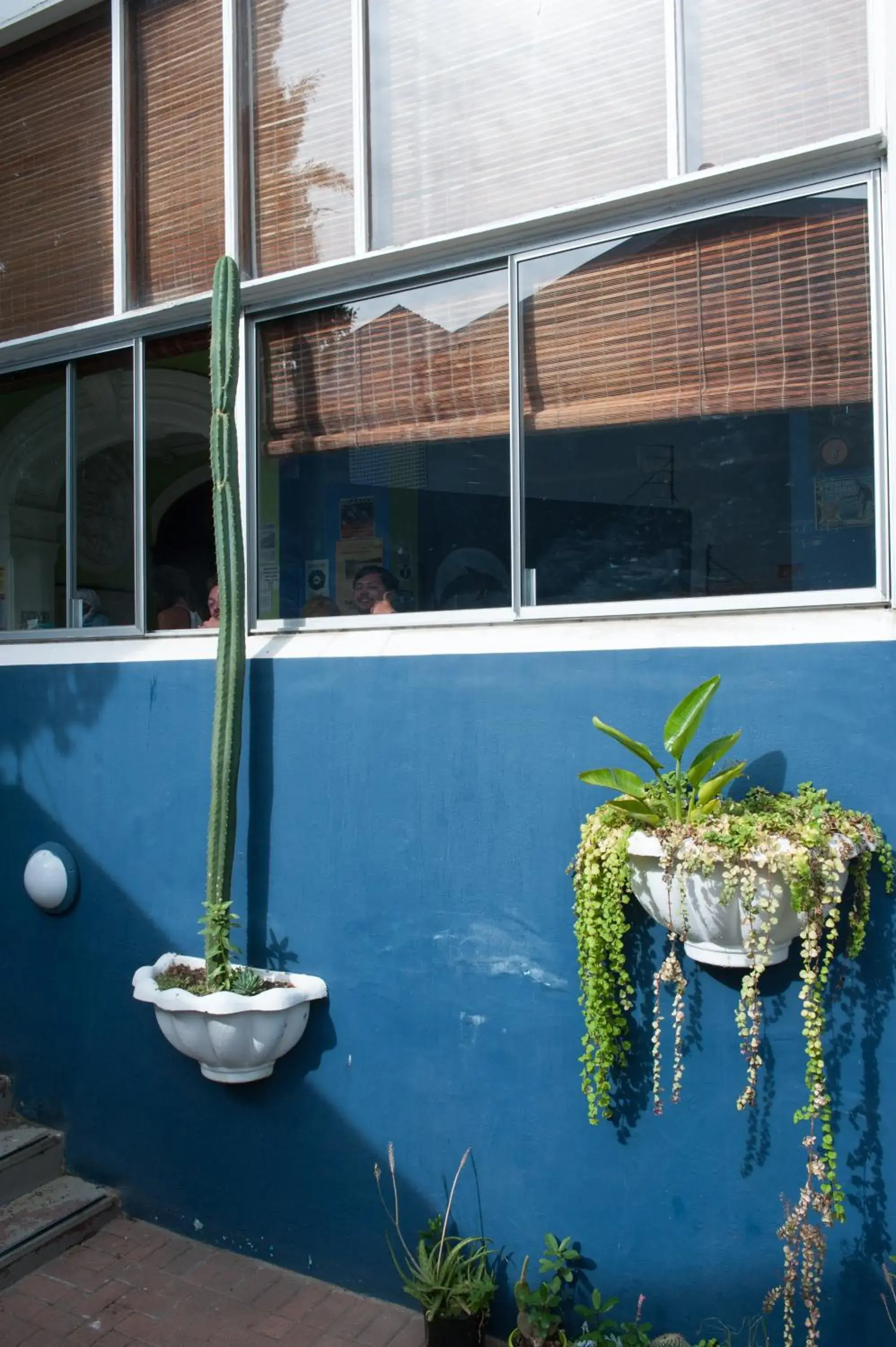 Facade/entrance in Big Blue Backpackers