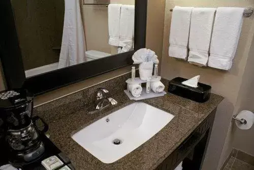 Bathroom in Holiday Inn Express Hotel & Suites Houston NW Beltway 8-West Road, an IHG Hotel