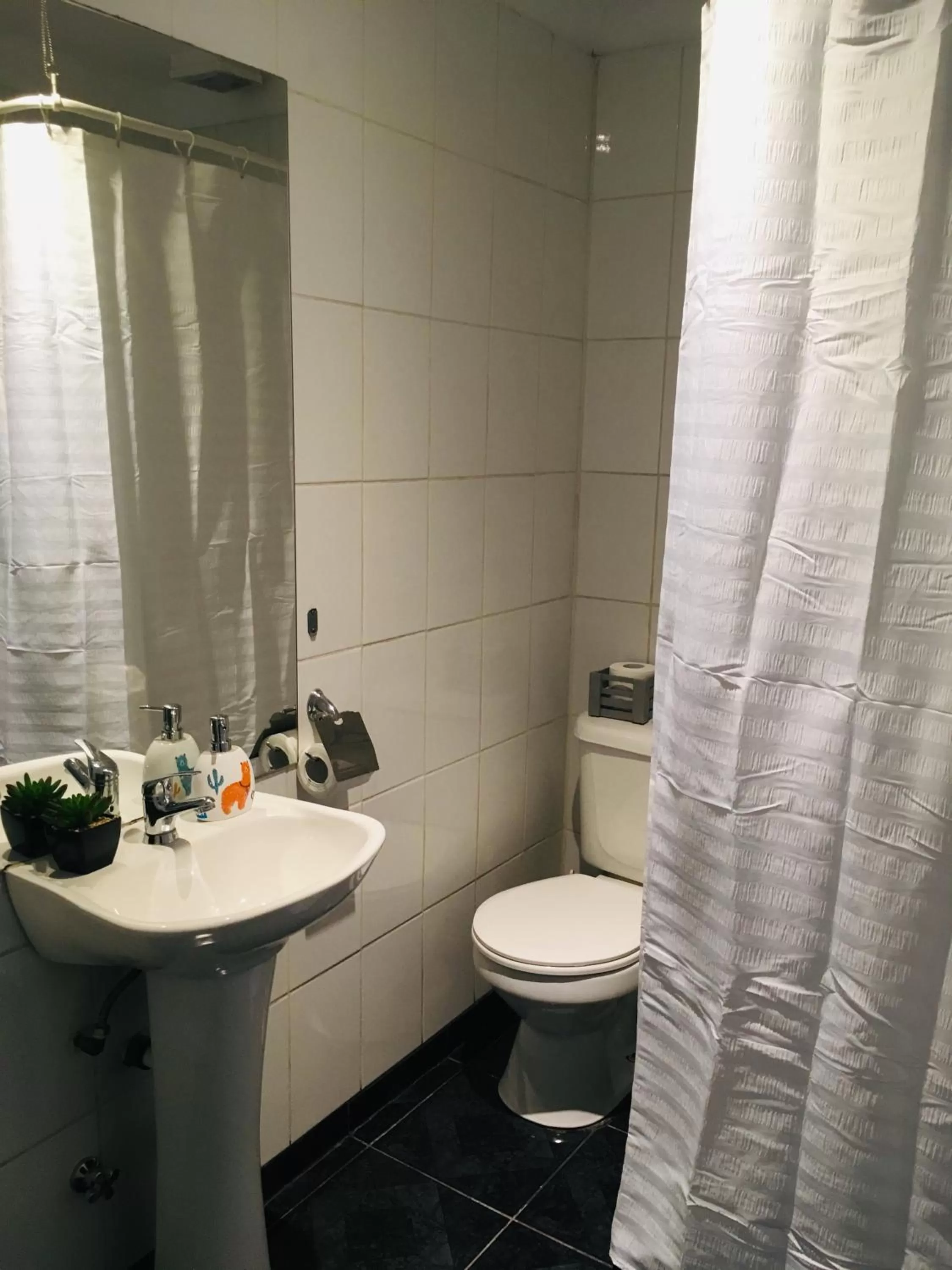 Bathroom in Andino Bed & Breakfast