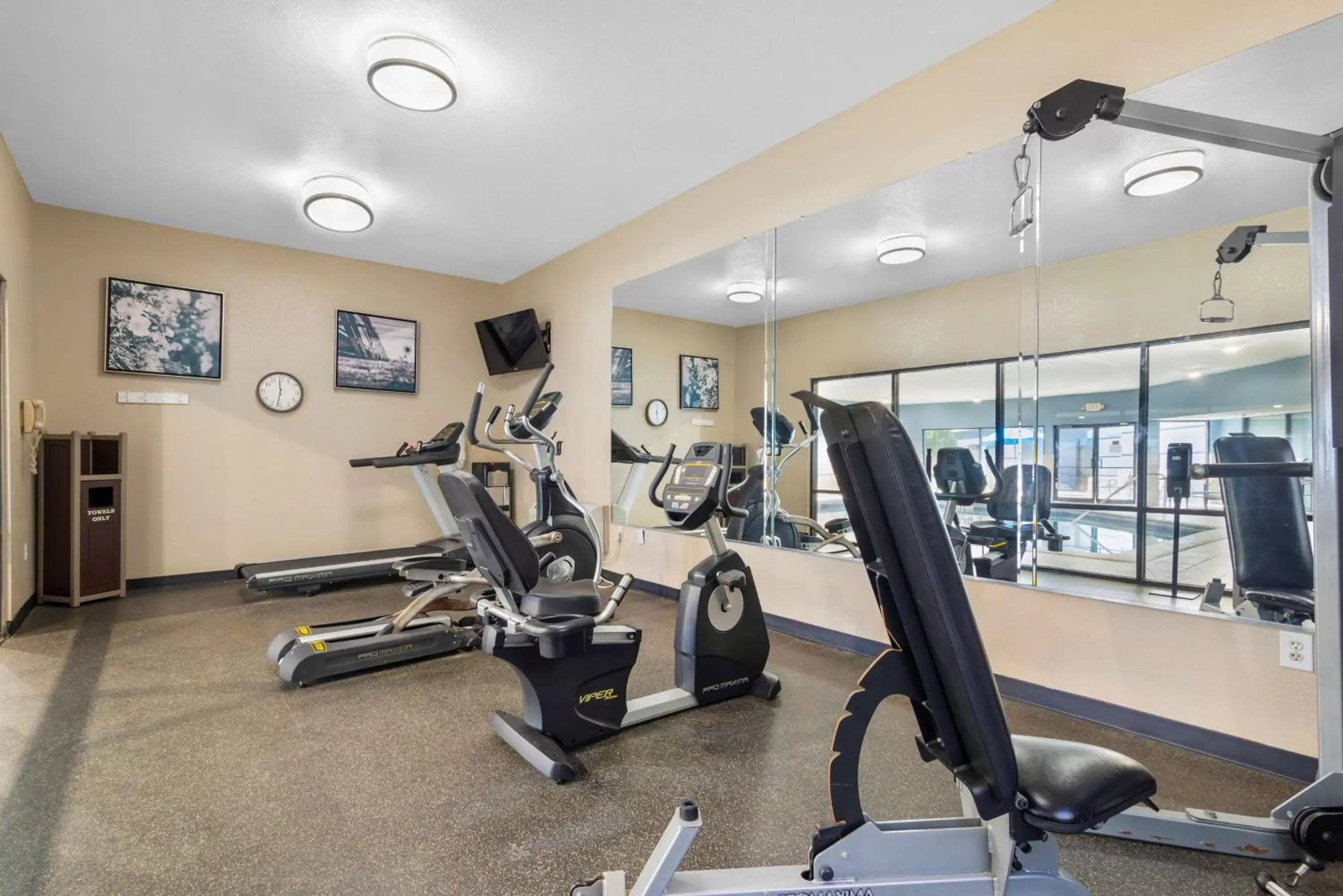 Spa and wellness centre/facilities, Fitness Center/Facilities in Best Western Plus McDonough Inn & Suites