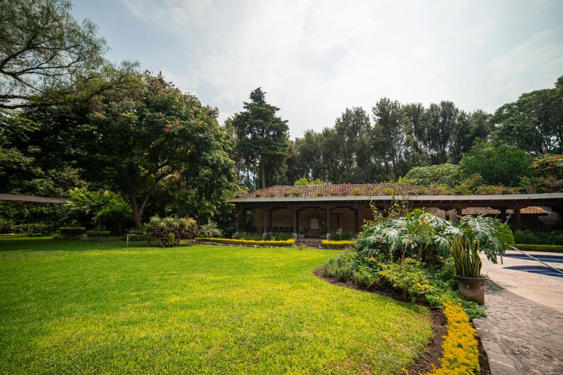 Garden in Hotel Real Plaza