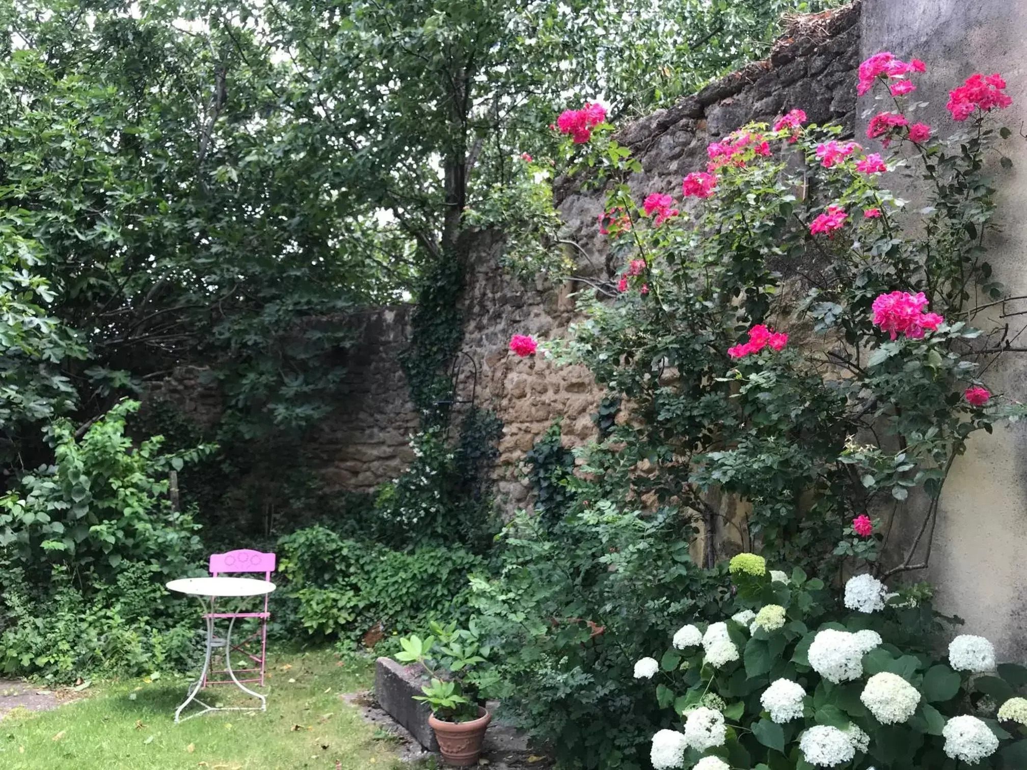 Garden in Les Aiguières en Provence