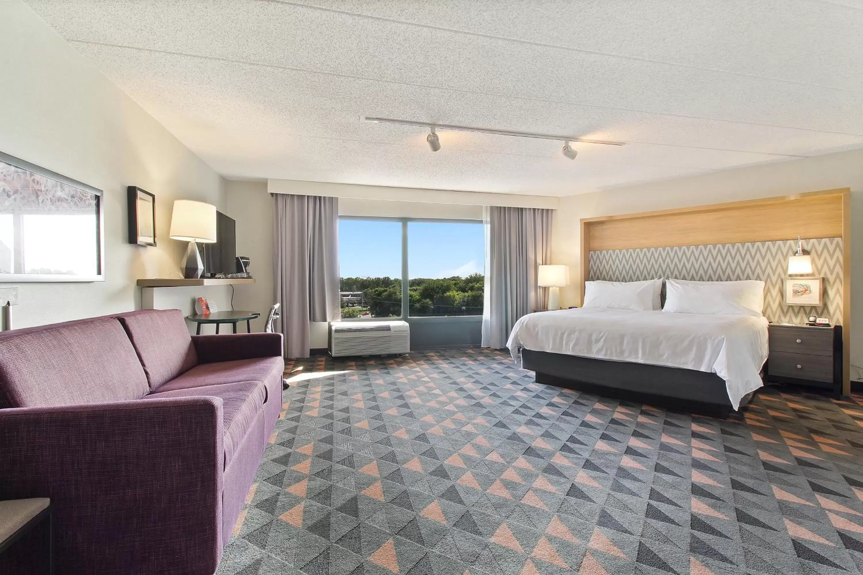 One-Bedroom King Suite in Holiday Inn Chicago Nw Crystal Lk Conv Ctr, an IHG Hotel One-Bedroom King Suite in Holiday Inn Chicago Nw Crystal Lk Conv Ctr, an IHG Hotel