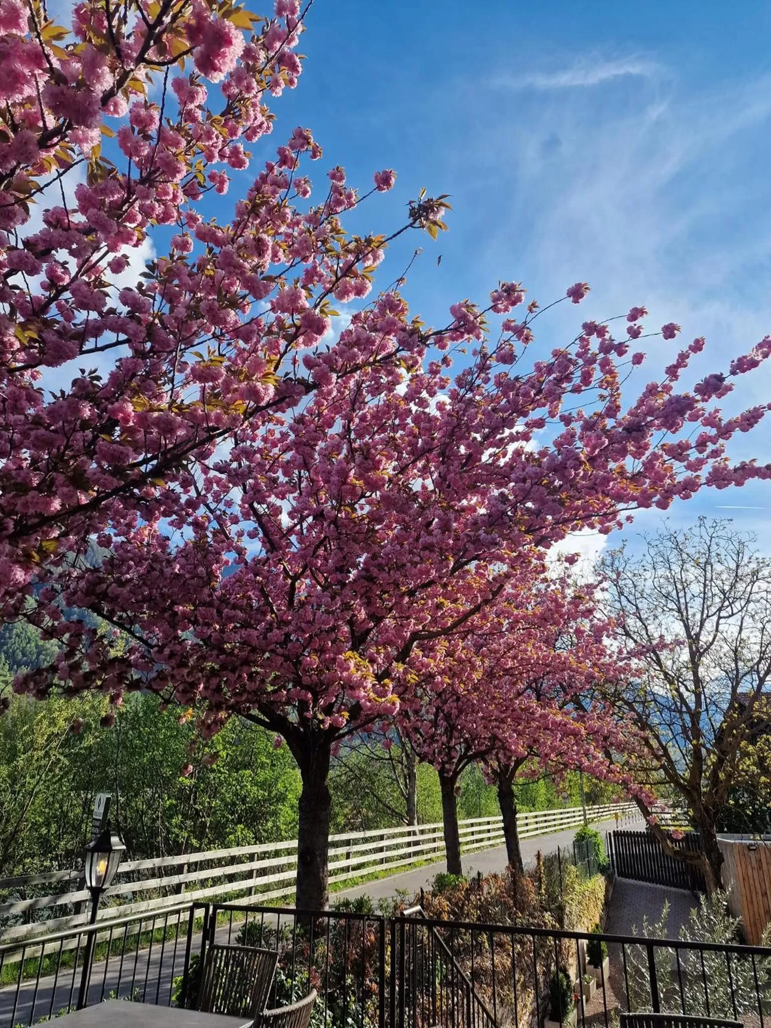 Property building in Hotel Kesslwirt