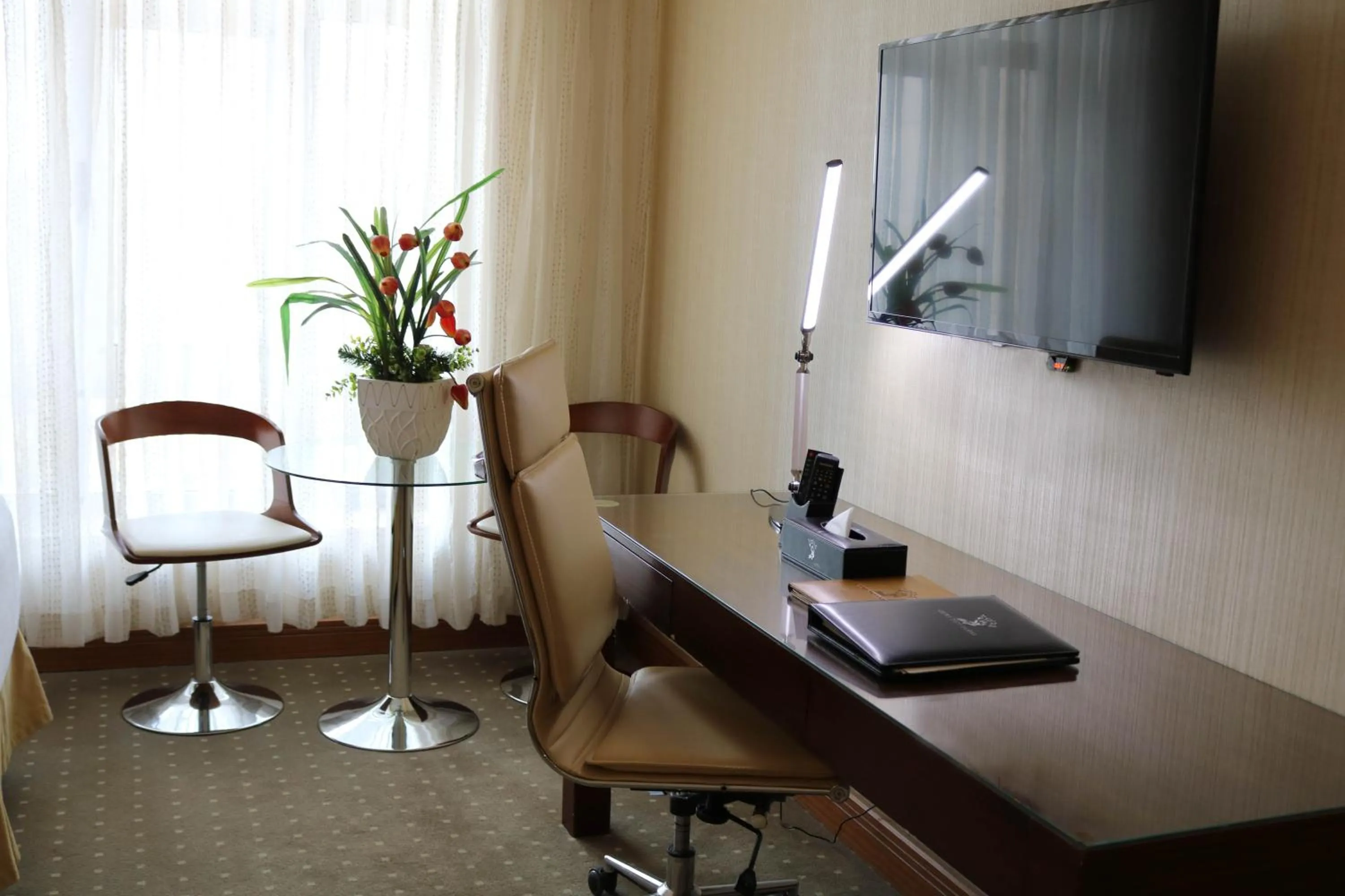 TV and multimedia in Olive Tree Amman