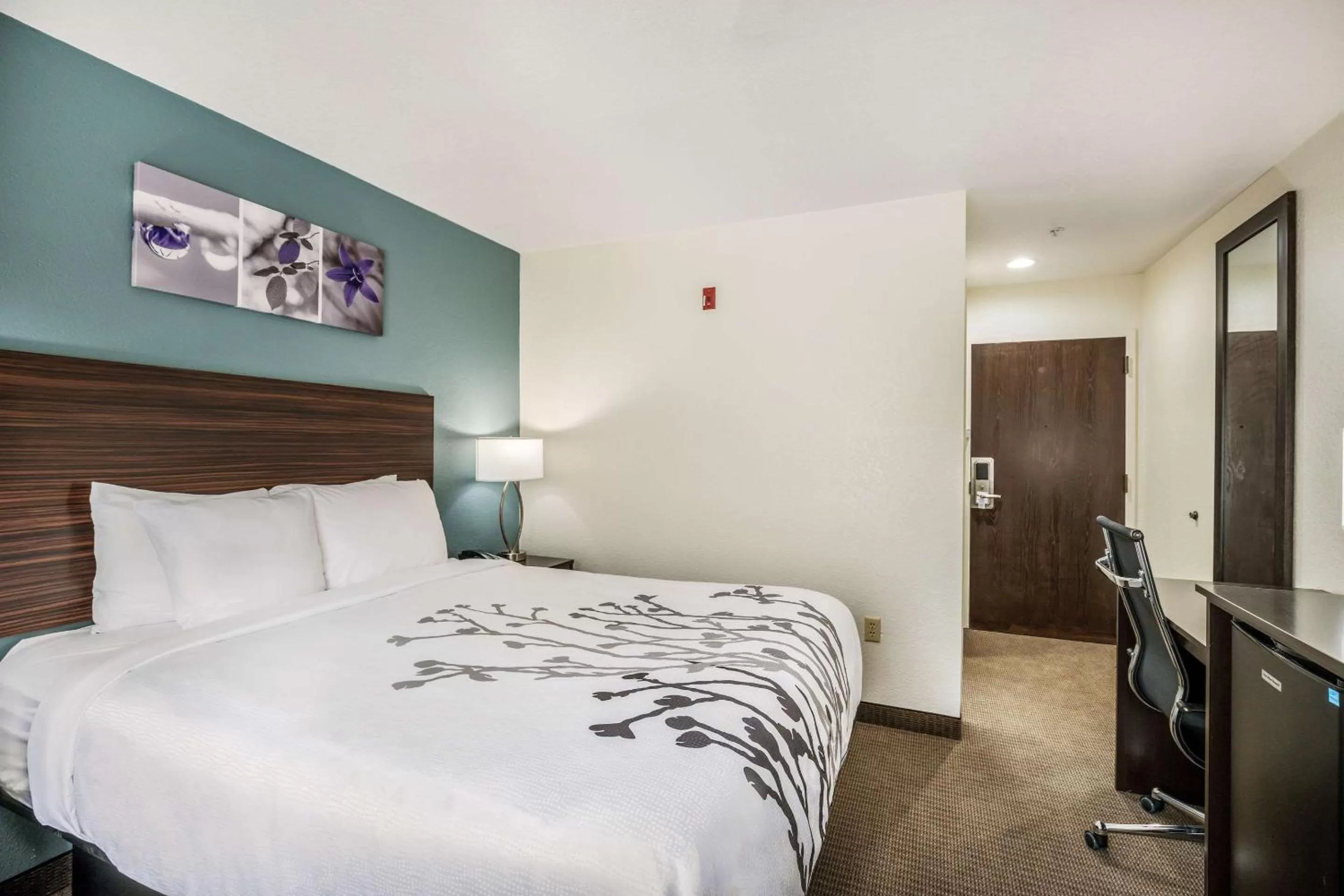 Photo of the whole room, Bed in Sleep Inn & Suites Tallahassee-Capitol