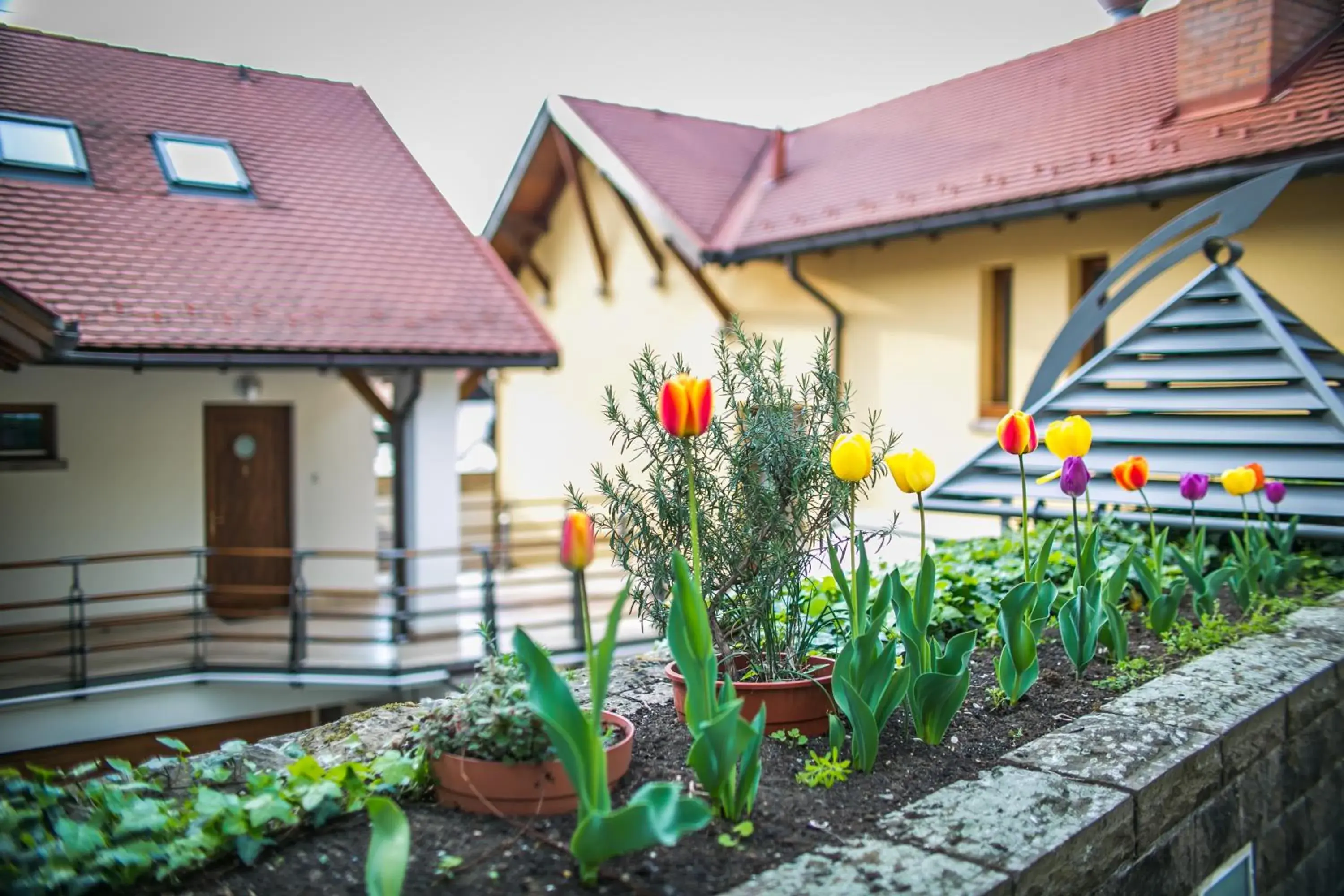 Balcony/Terrace, Property Building in Imola Udvarház Dessert Hotel