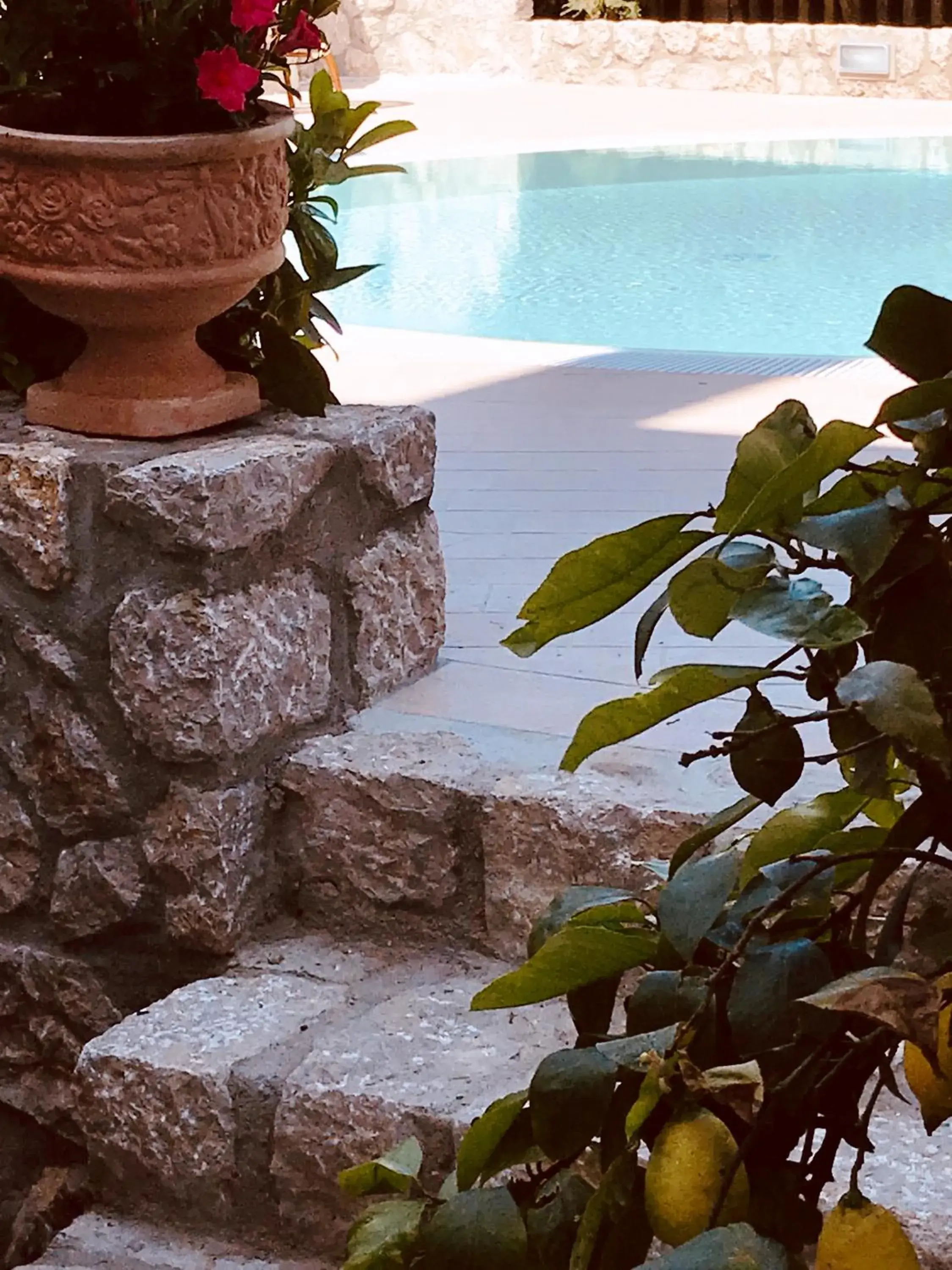 Decorative detail, Swimming Pool in Hotel Bougainville