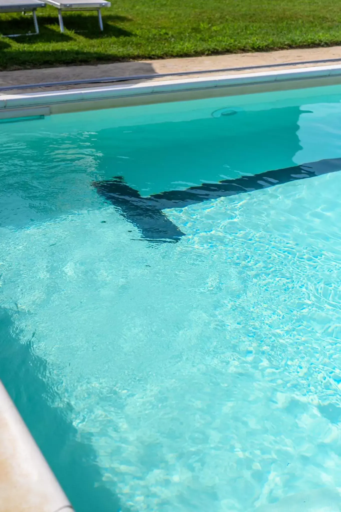 Swimming Pool in La Casa di Valeria - Modena