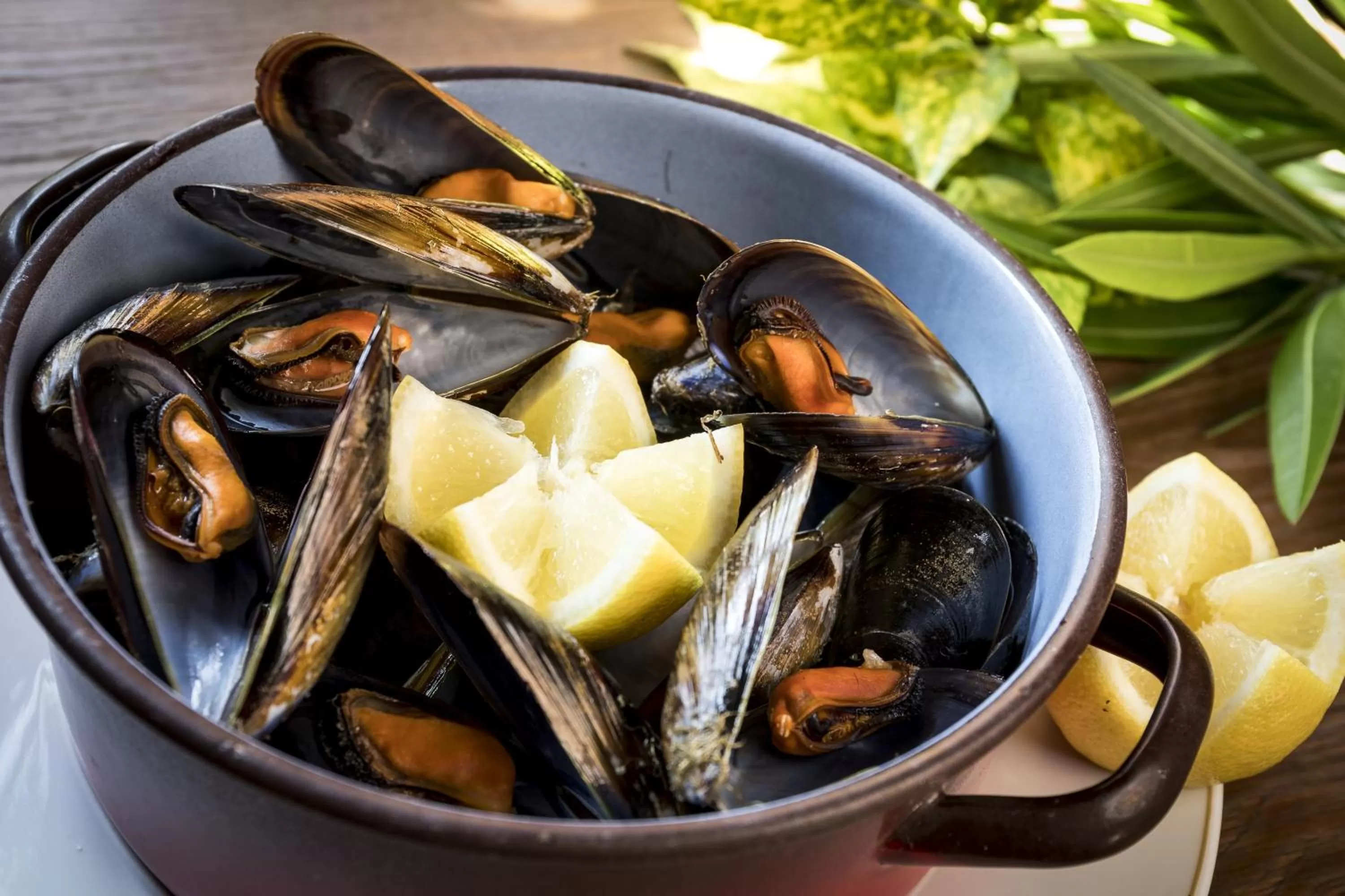 Food and drinks in Parador de Cambados