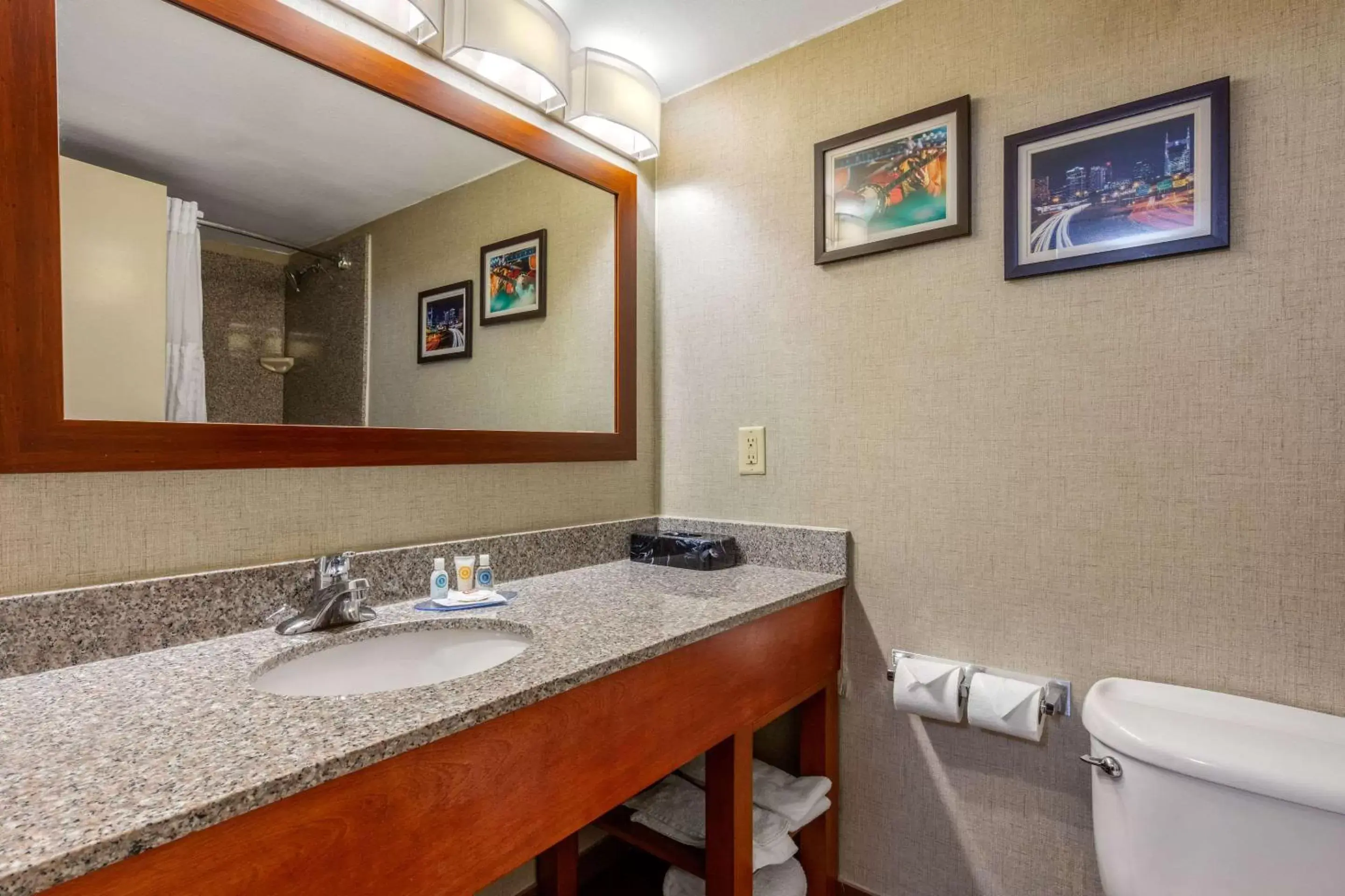 Photo of the whole room, Bathroom in Comfort Inn & Suites Nashville-Antioch