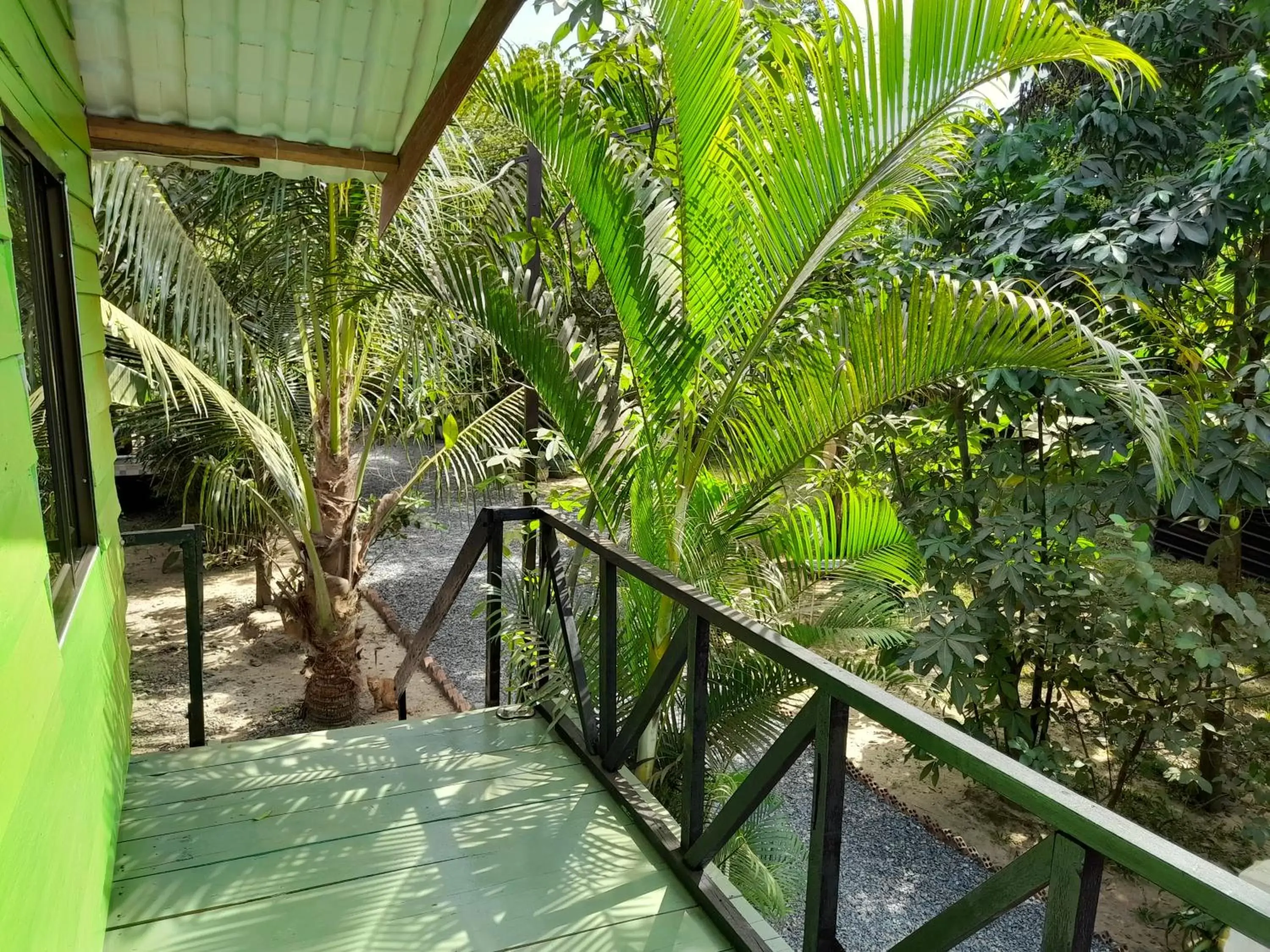 Garden view in Green Mango Bungalows Garden view in Green Mango Bungalows
