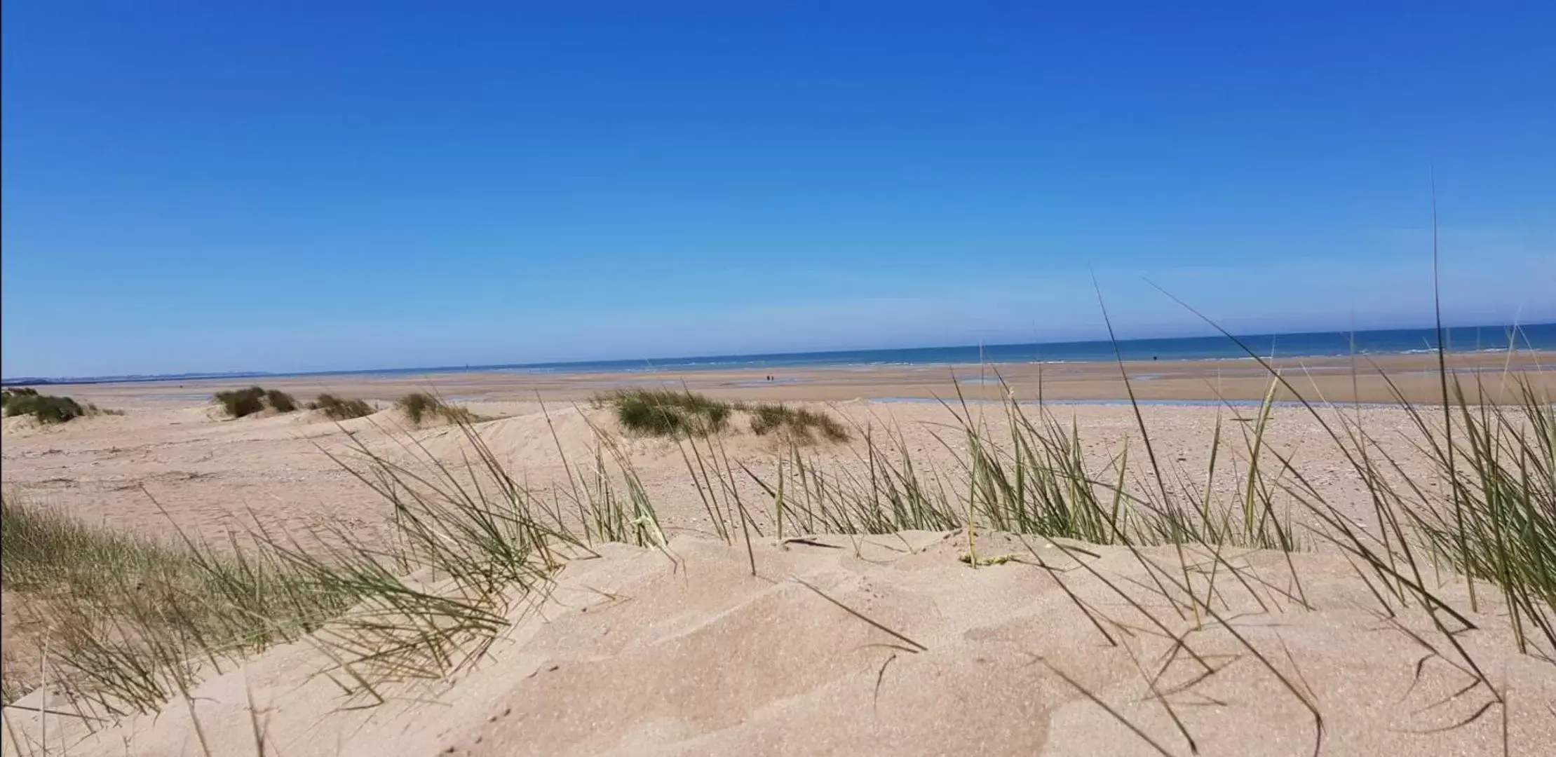 Beach in Le Bristol