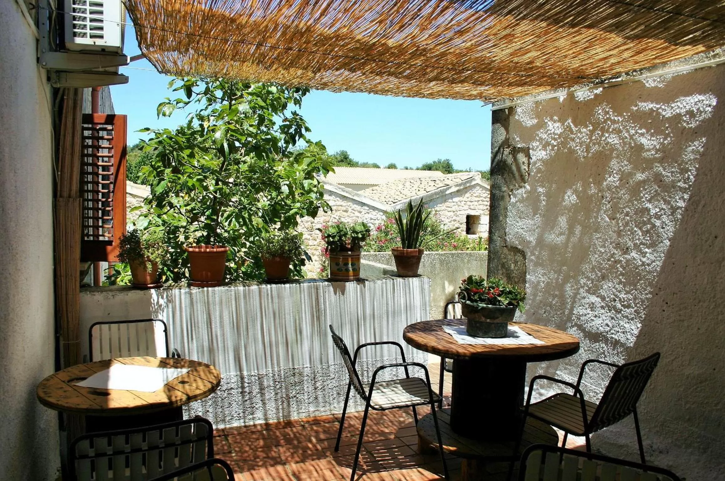 TV and multimedia in Vinciucci