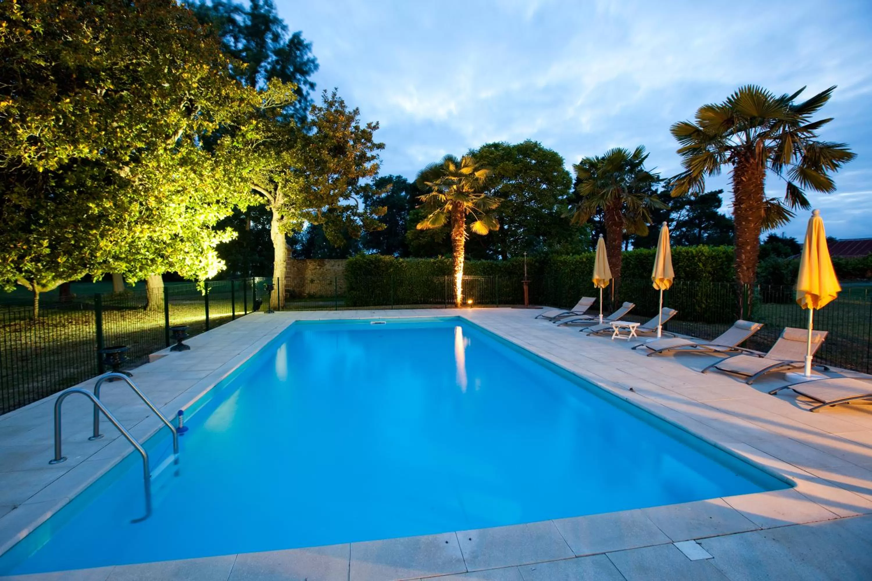Swimming pool in Château de la Verie