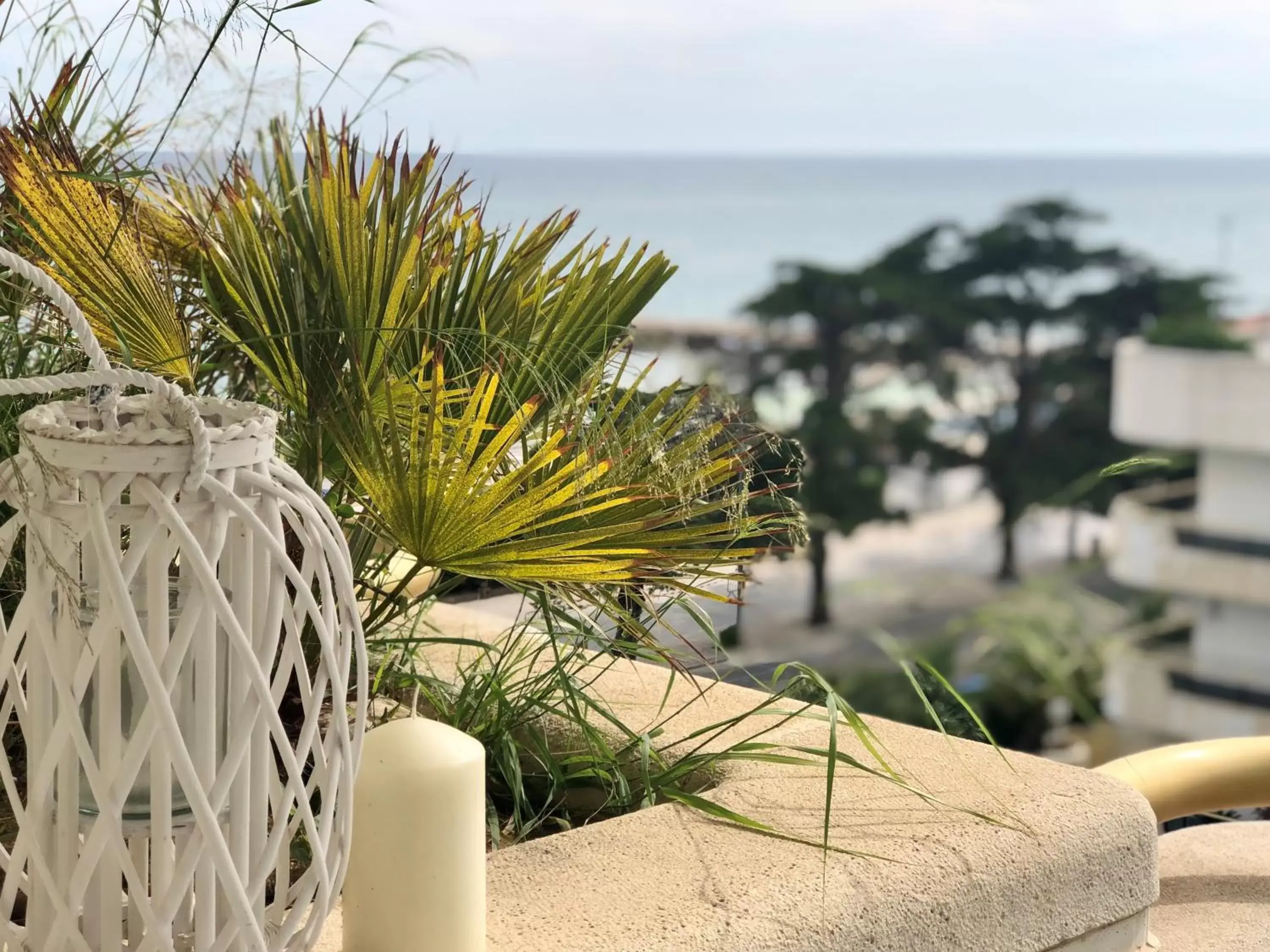 Balcony/Terrace in Mediterraneo Sitges