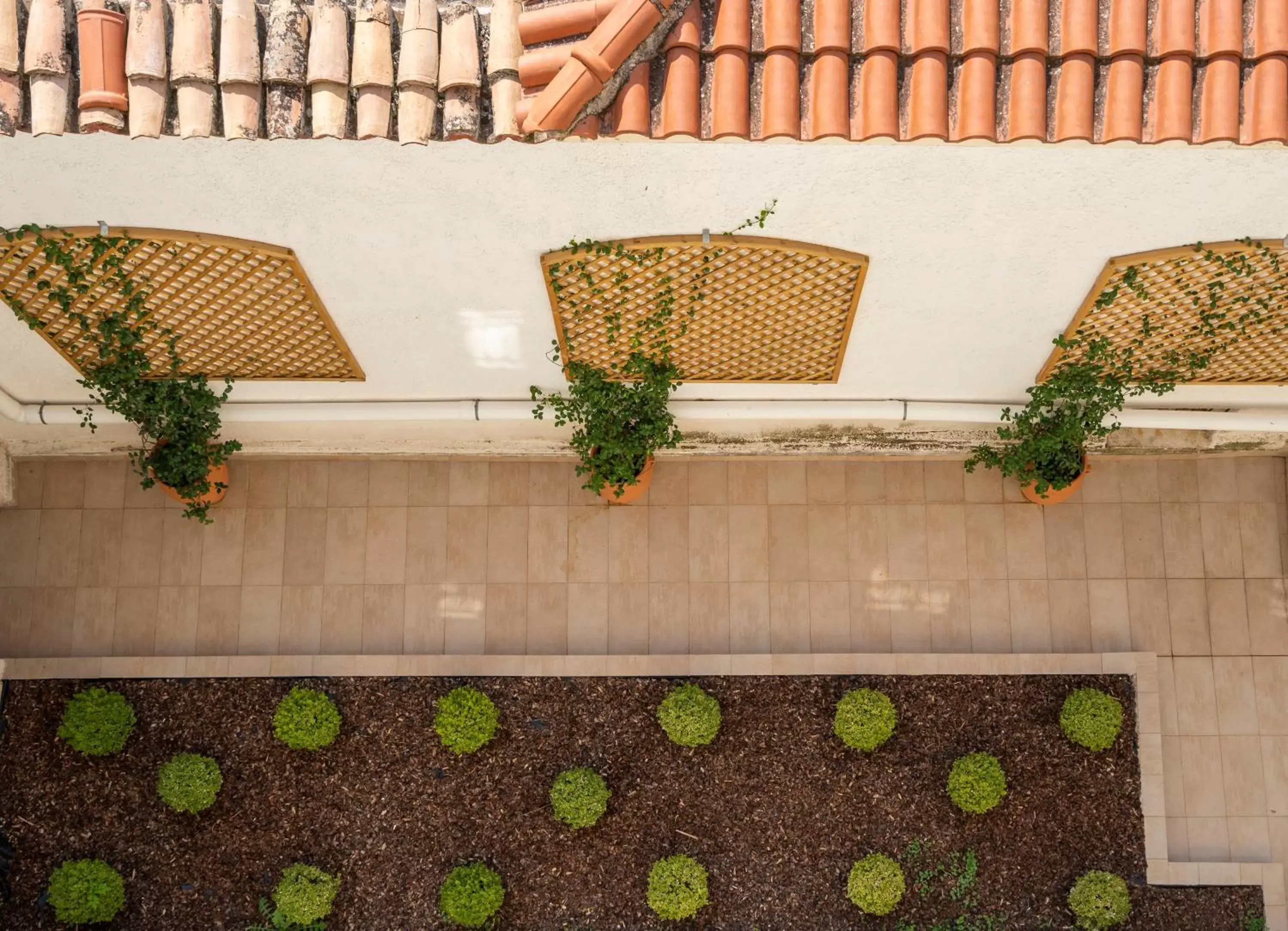 Balcony/Terrace in Kastalia Boutique Hotel