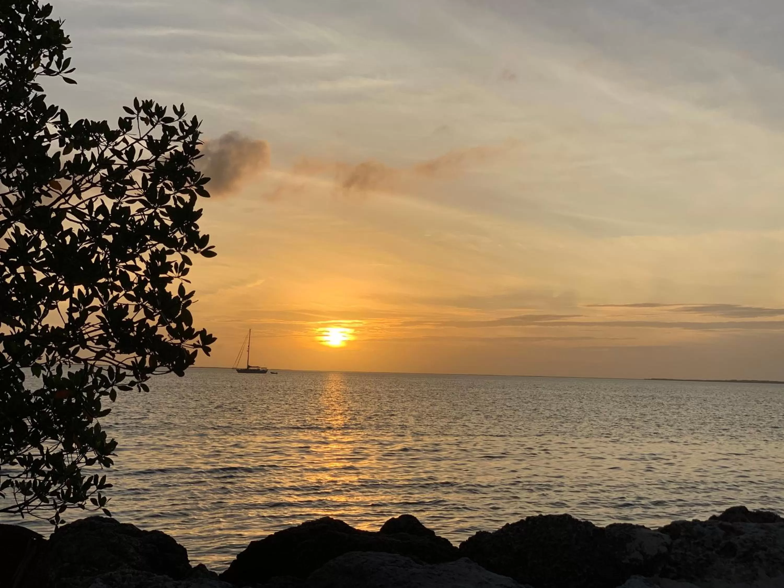 Natural landscape in Gilbert's Resort