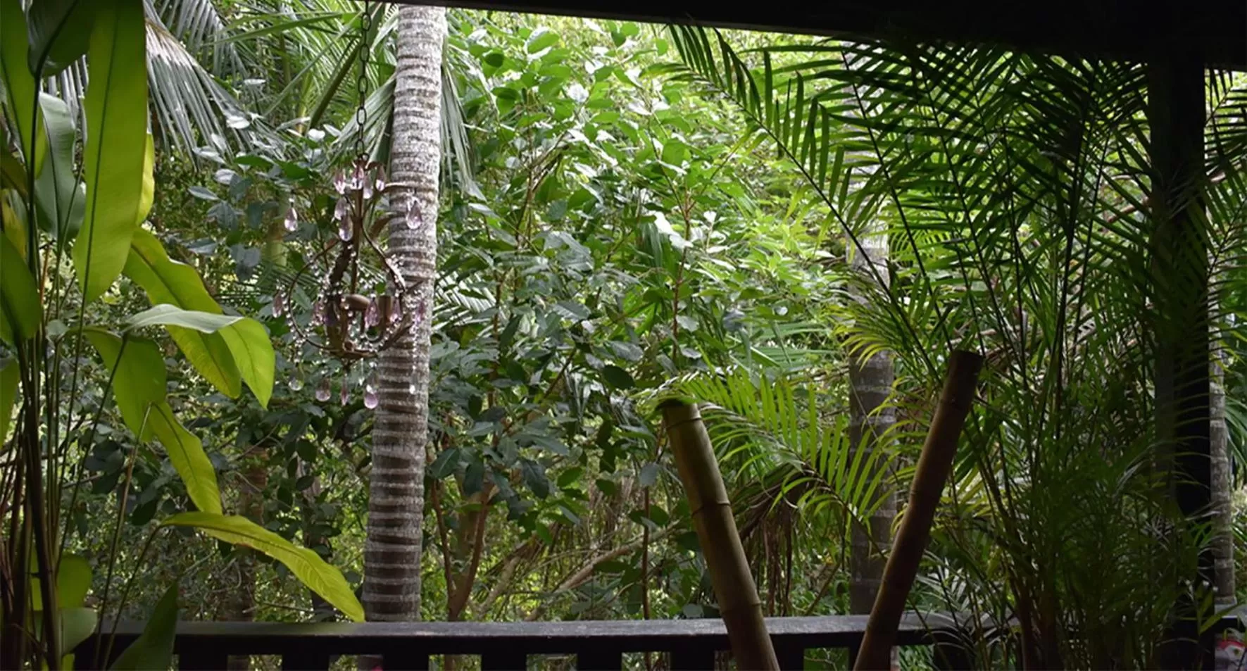 Oskar's Rain Forest Retreat