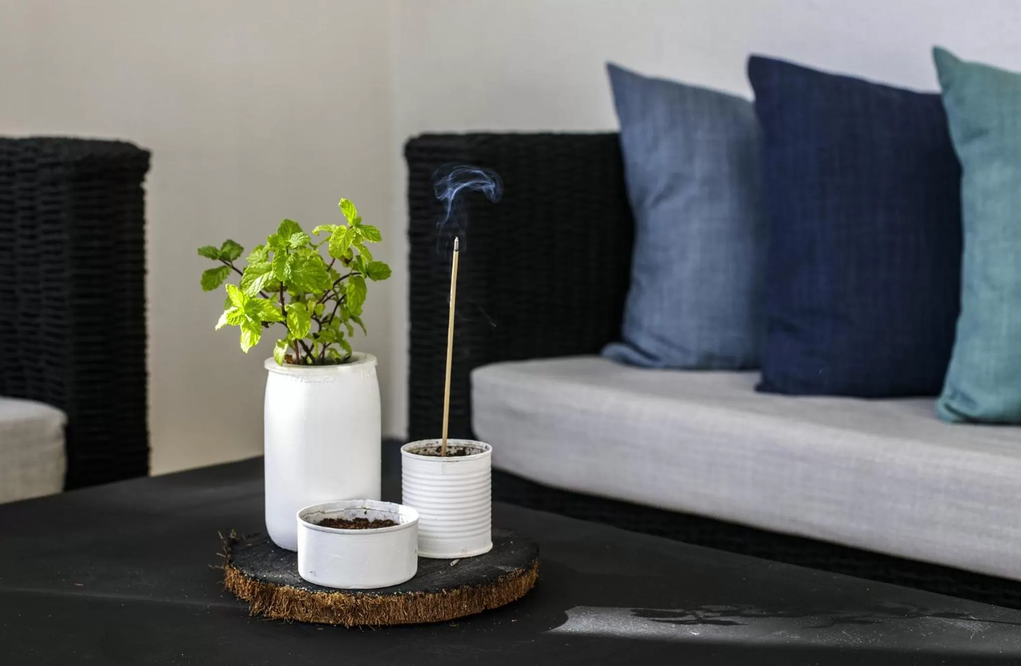 Patio in Ocean Vida Beach and Dive Resort