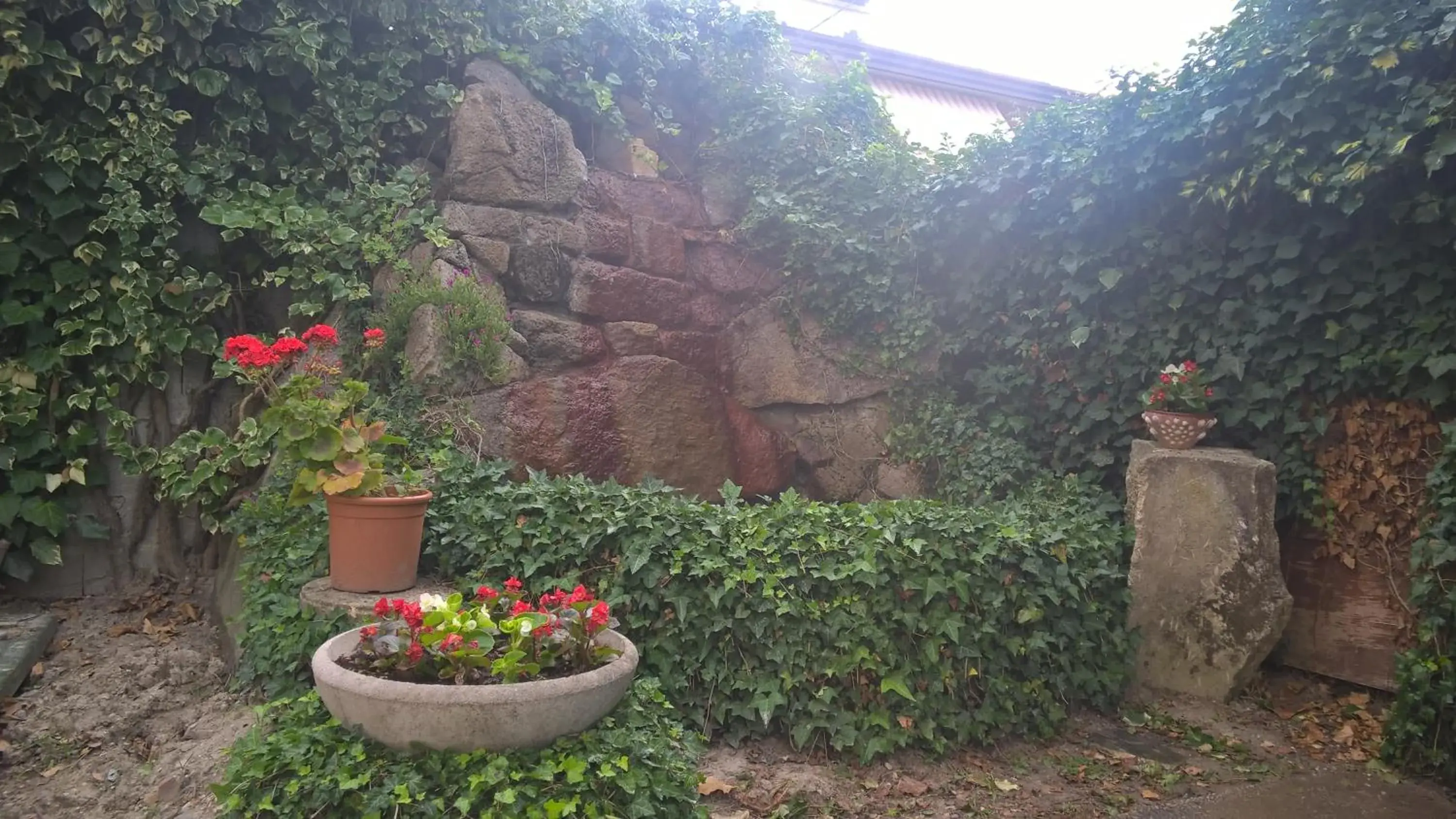 Garden in Hotel Terme Belvedere