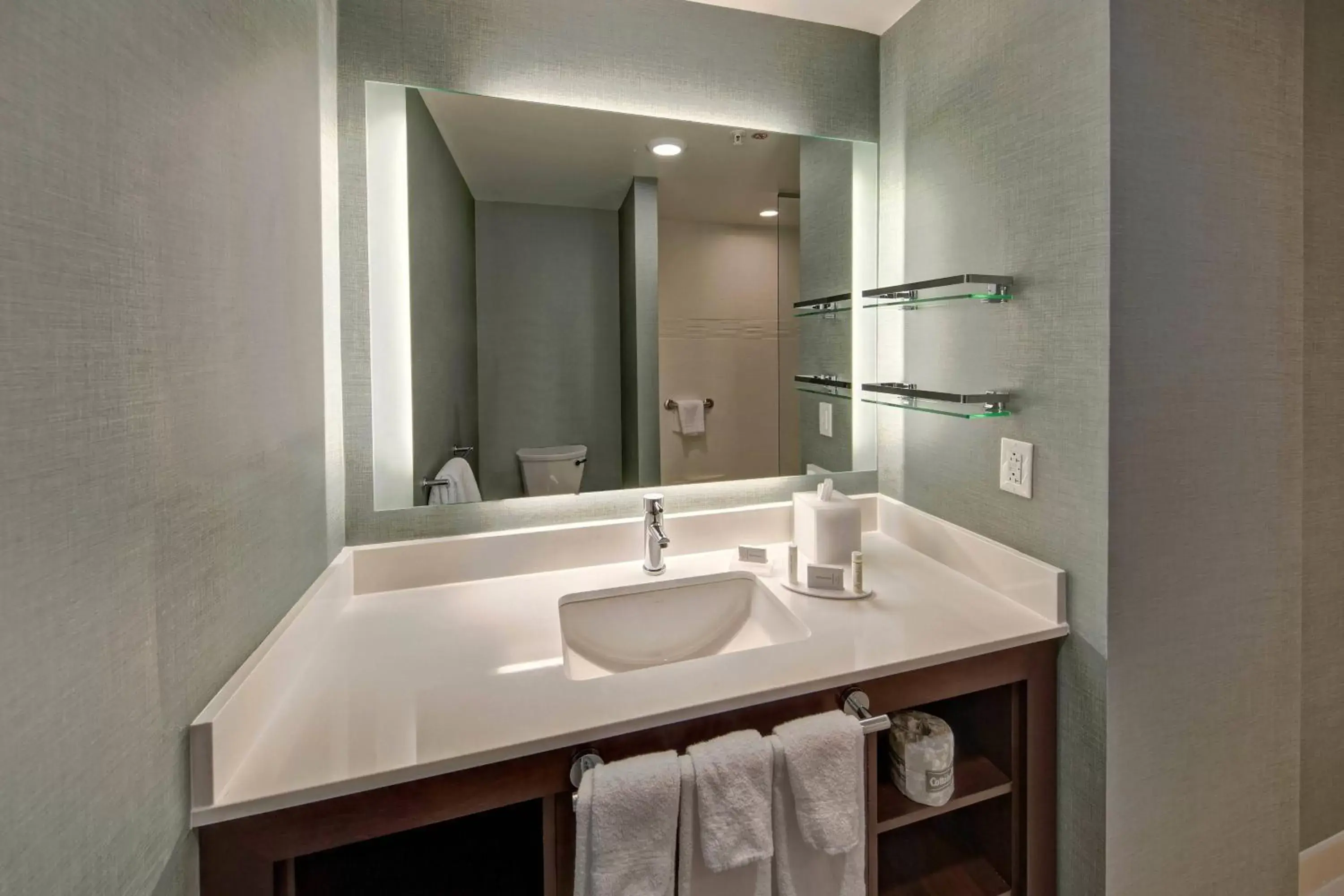 Bathroom in Residence Inn by Marriott Kansas City Downtown/Convention Center