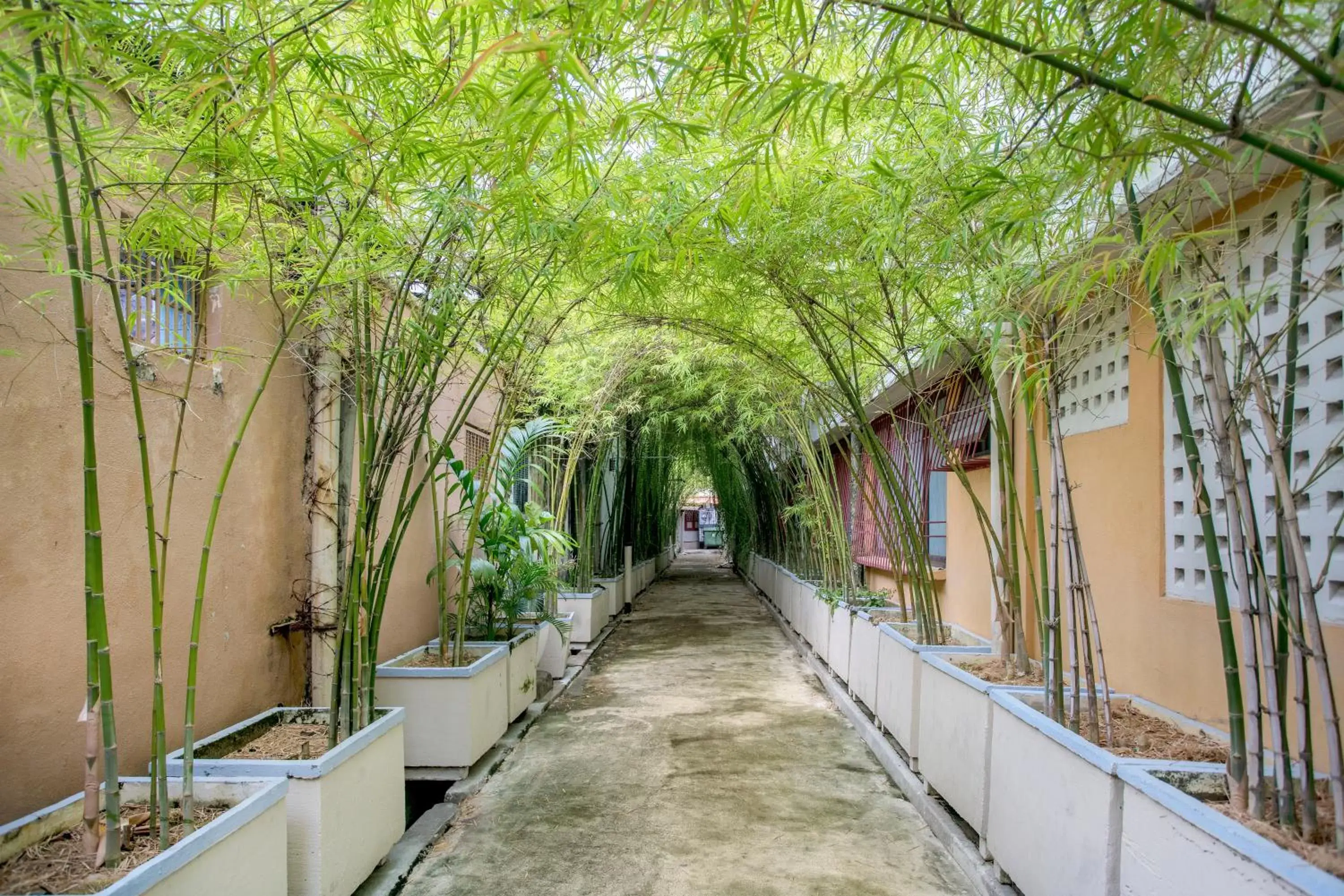 Natural landscape in Areca Hotel Penang