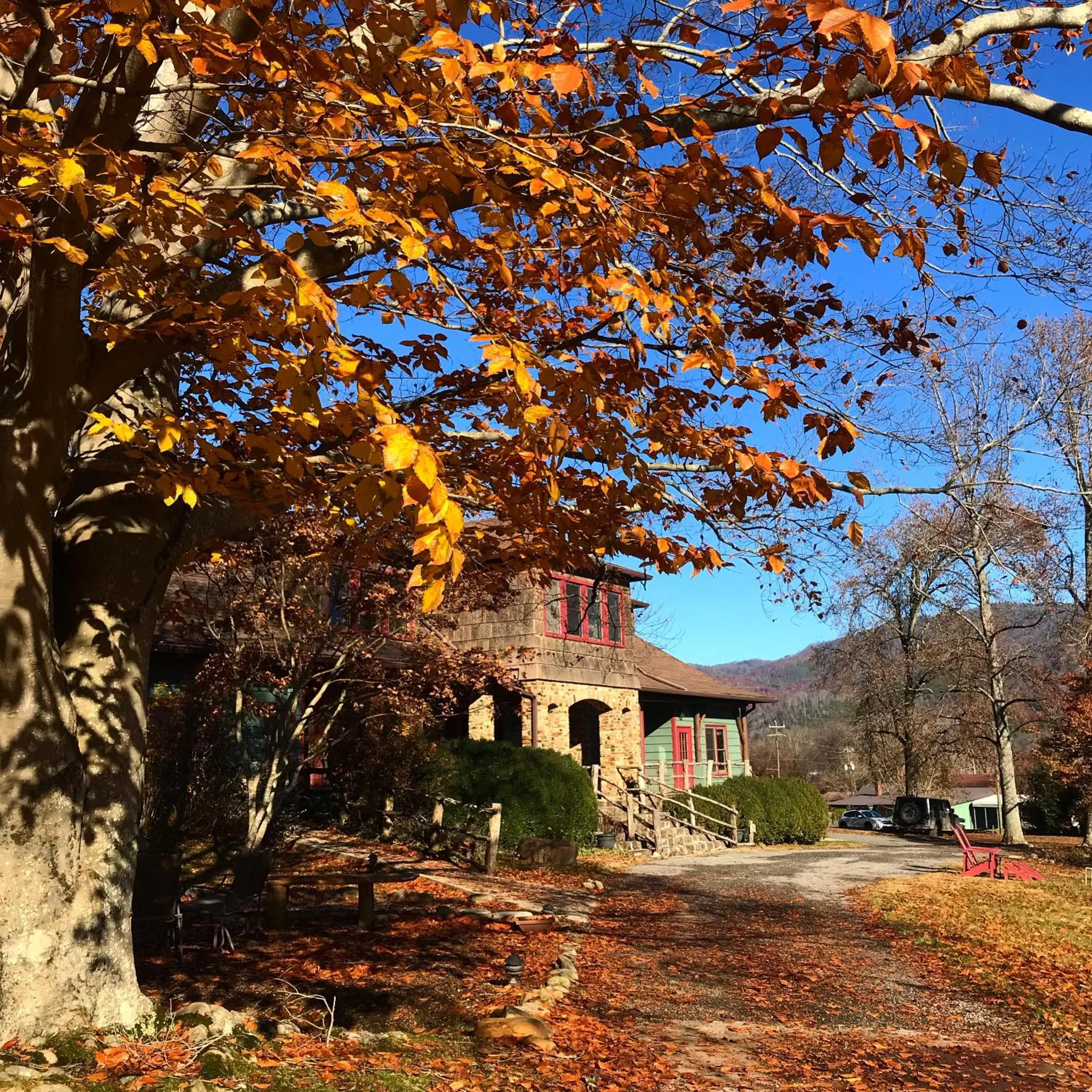 Property Building in Laughing Heart Lodge