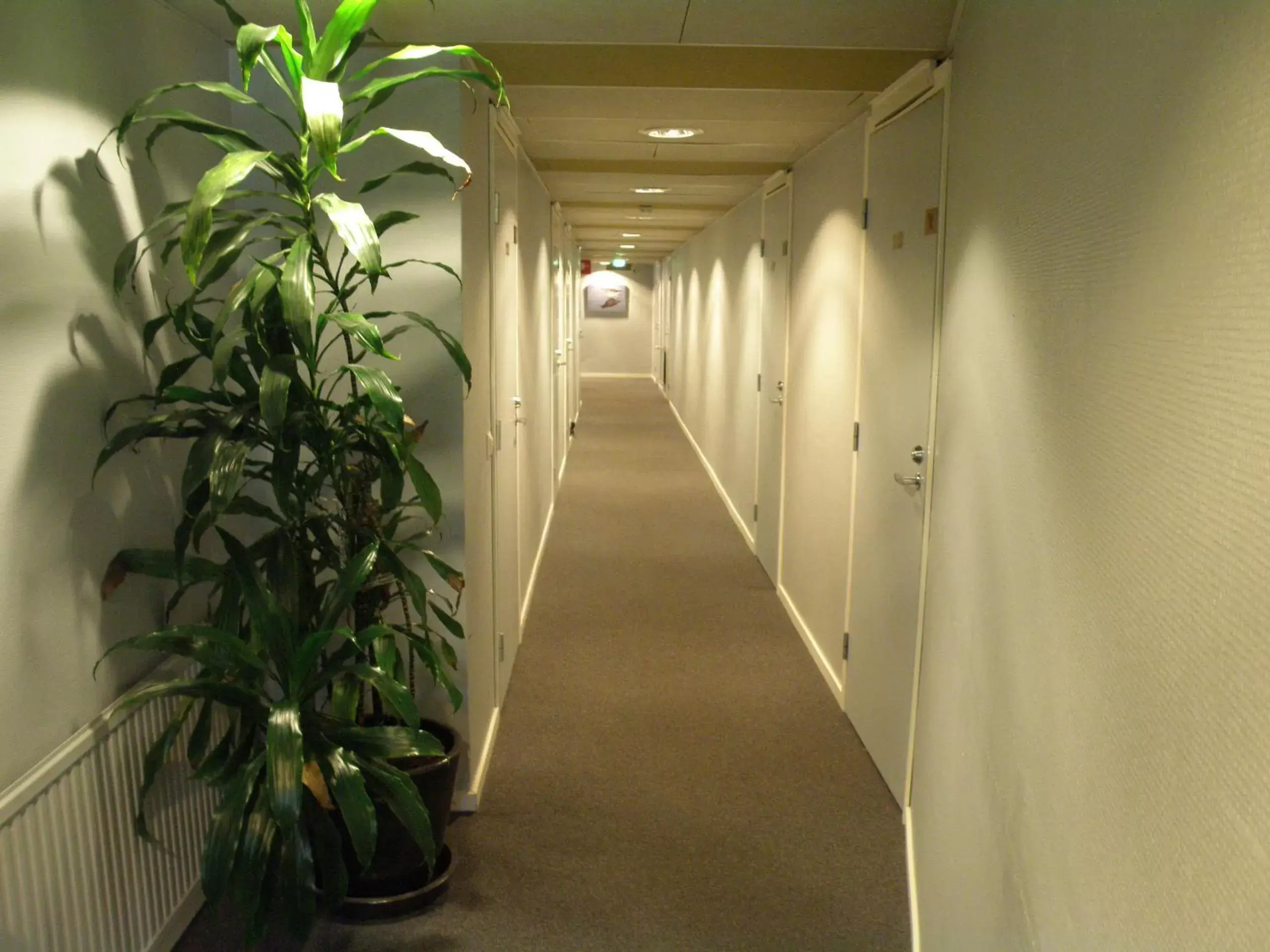 Area and facilities in Finlandia Hotel Airport Oulu