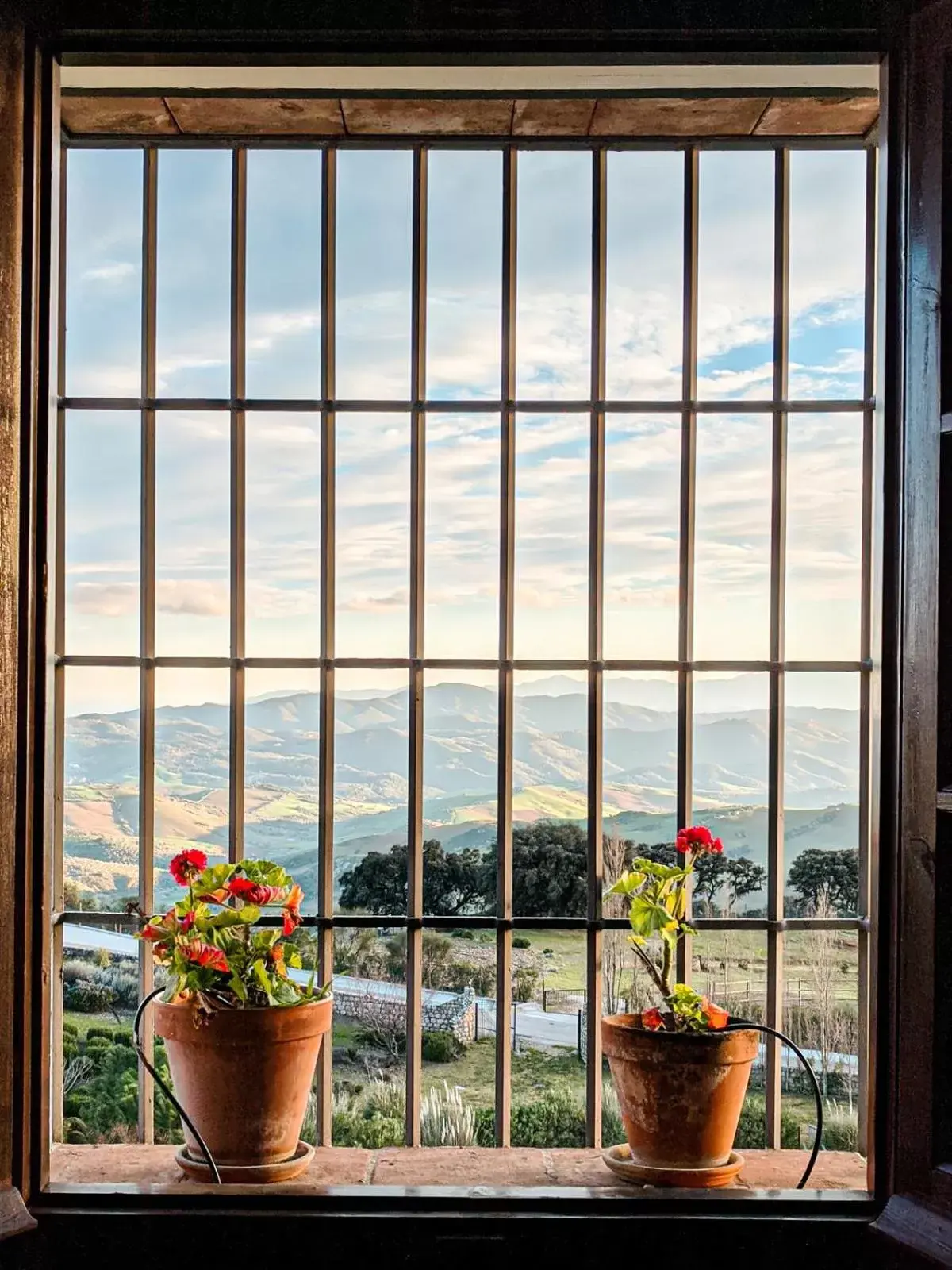 Garden view in La Fuente del Sol Hotel & Spa