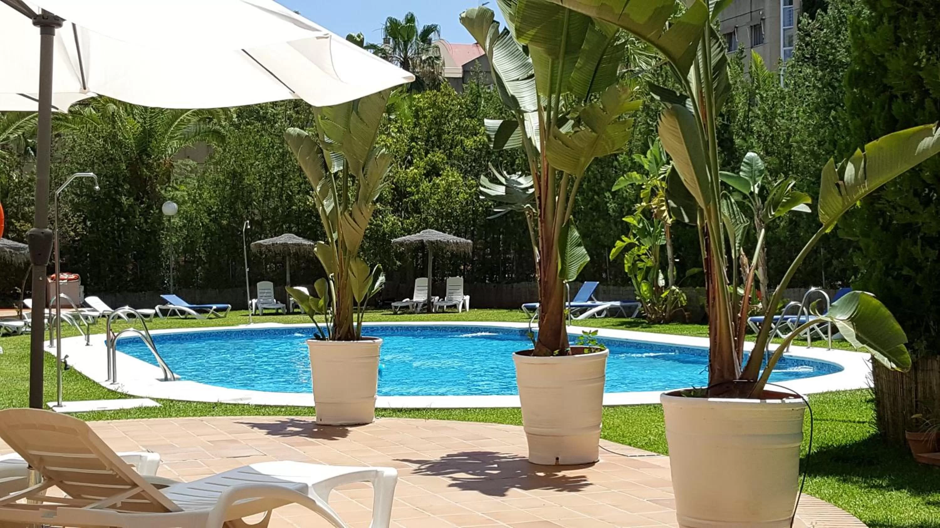 Swimming pool in Hotel TRH La Motilla