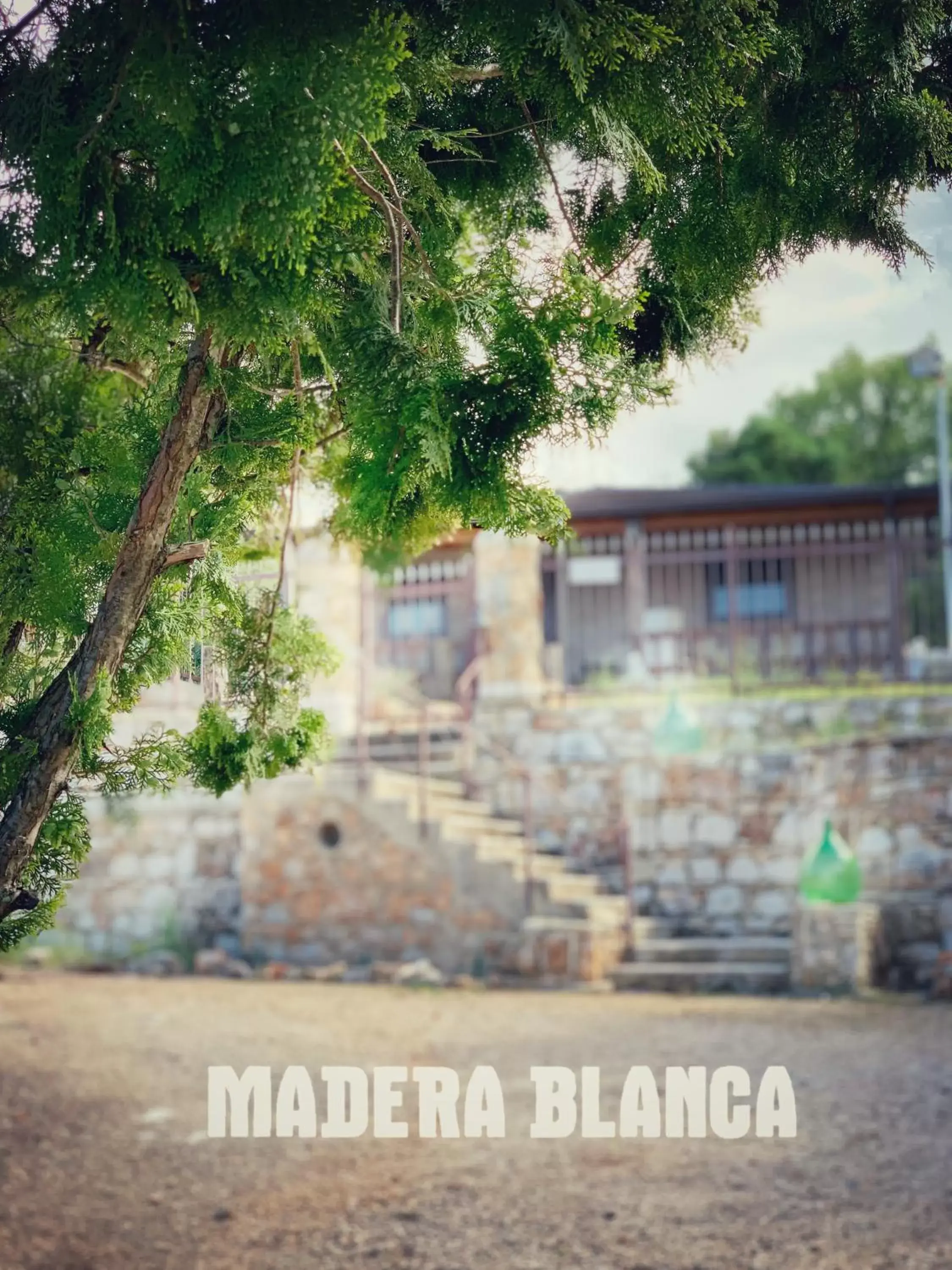 Property Building in Madera Blanca