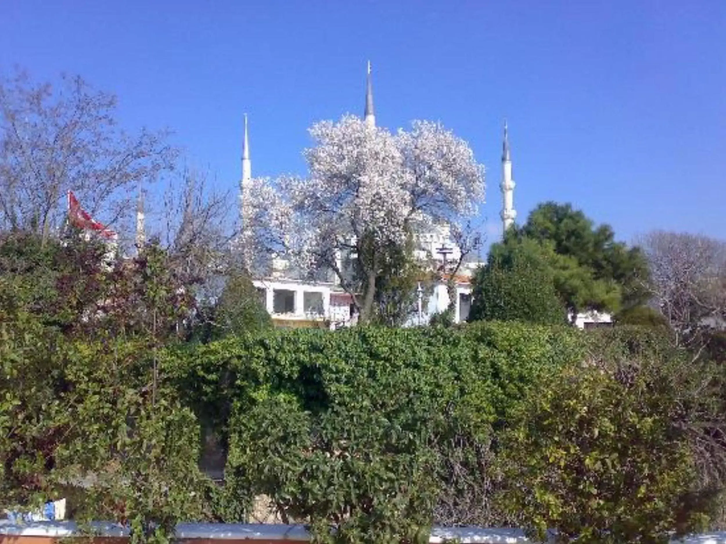 Bird's eye view, Garden in Hotel Tashkonak Istanbul