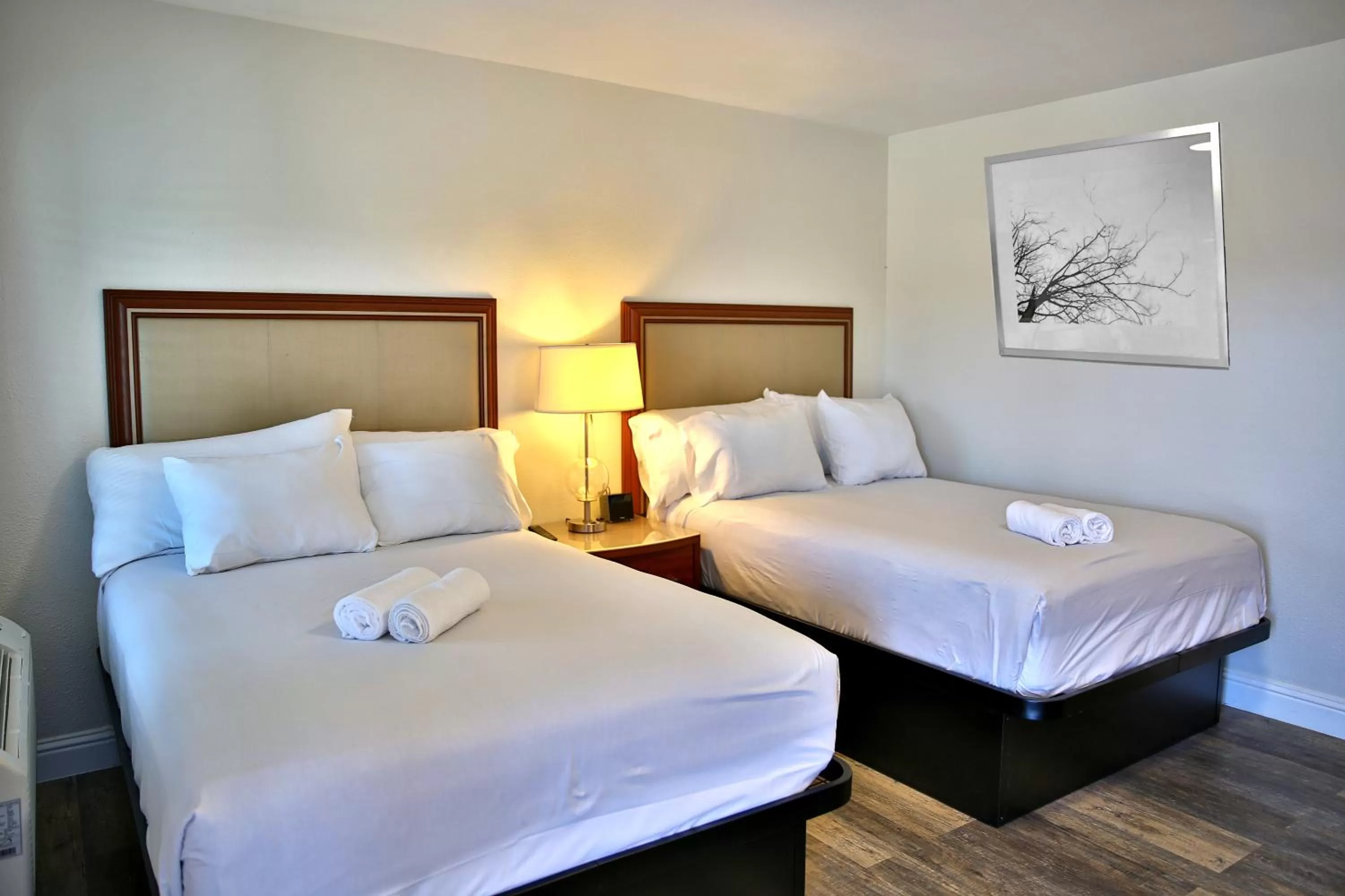 Photo of the whole room in Travelodge by Wyndham Crescent City