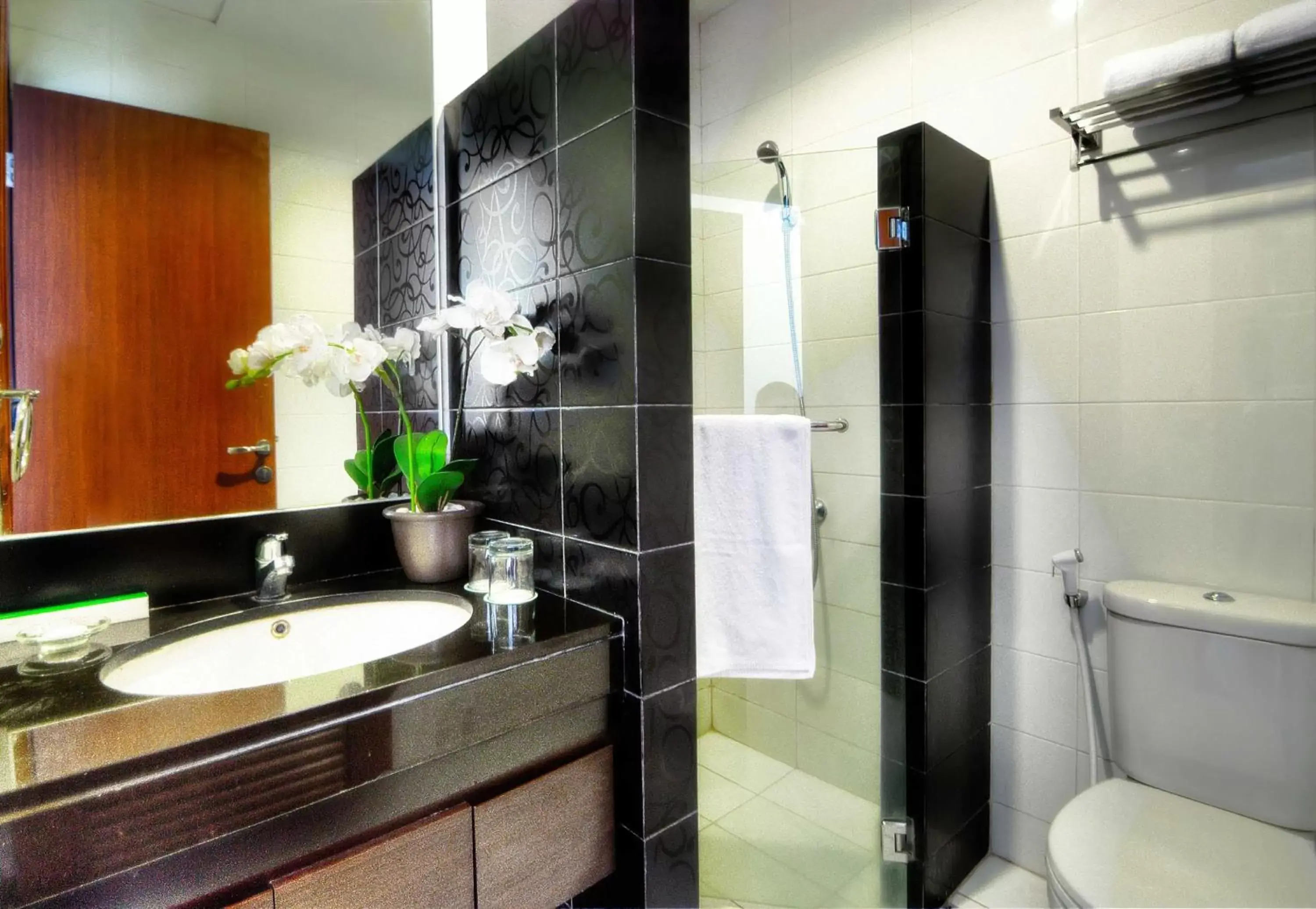 Shower, Bathroom in Avissa Suites