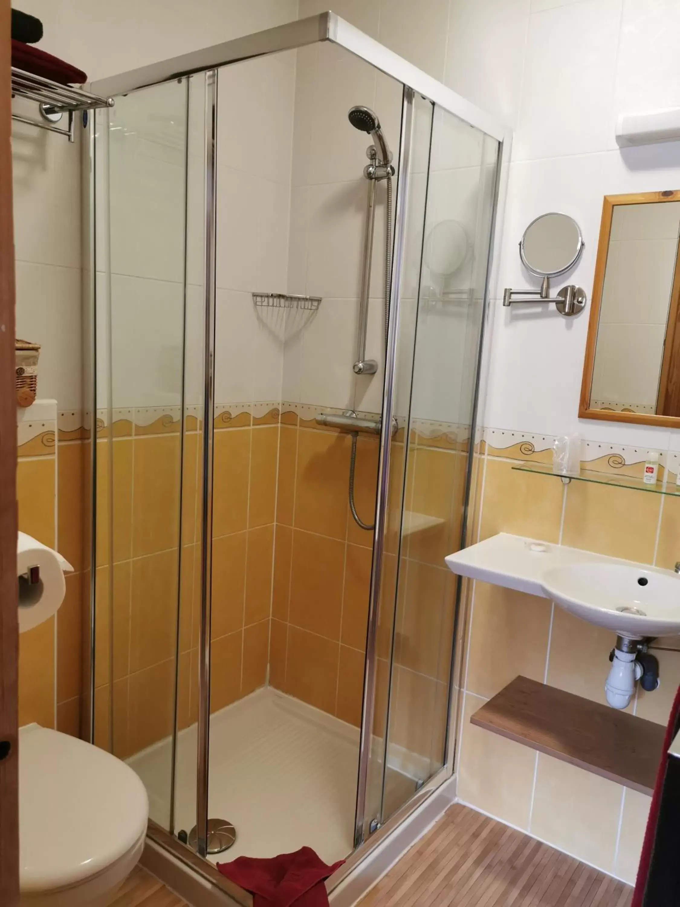 Shower, Bathroom in Hôtel Arolla