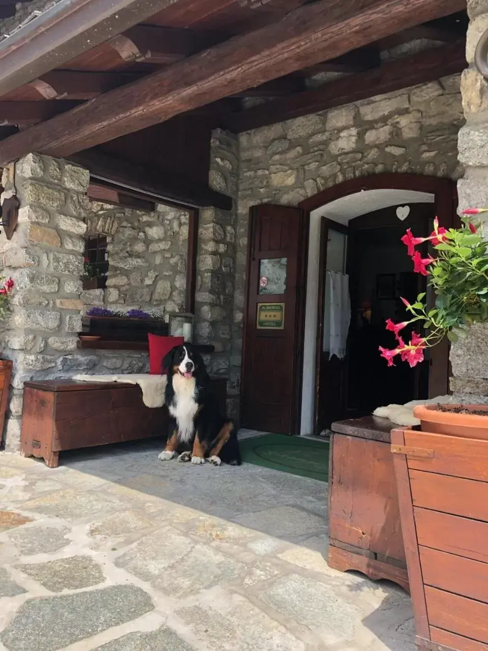 Property building, Pets in Hotel La Grange - Animal Chic Hotel