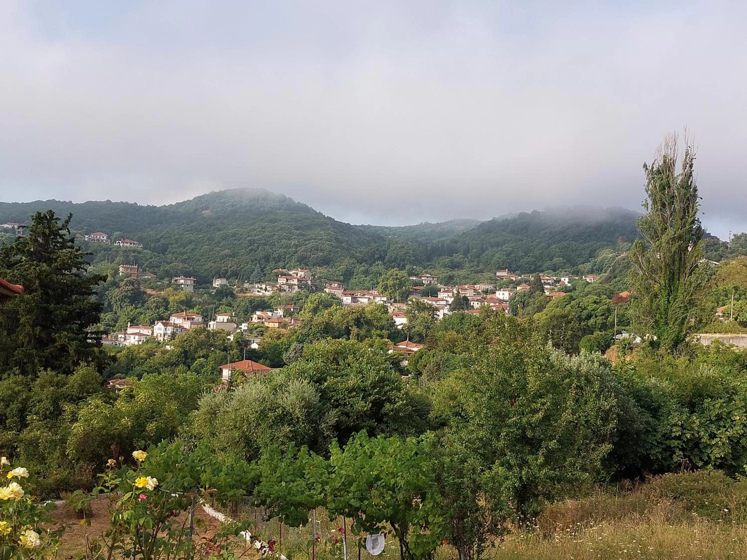 Mountain View in Neon