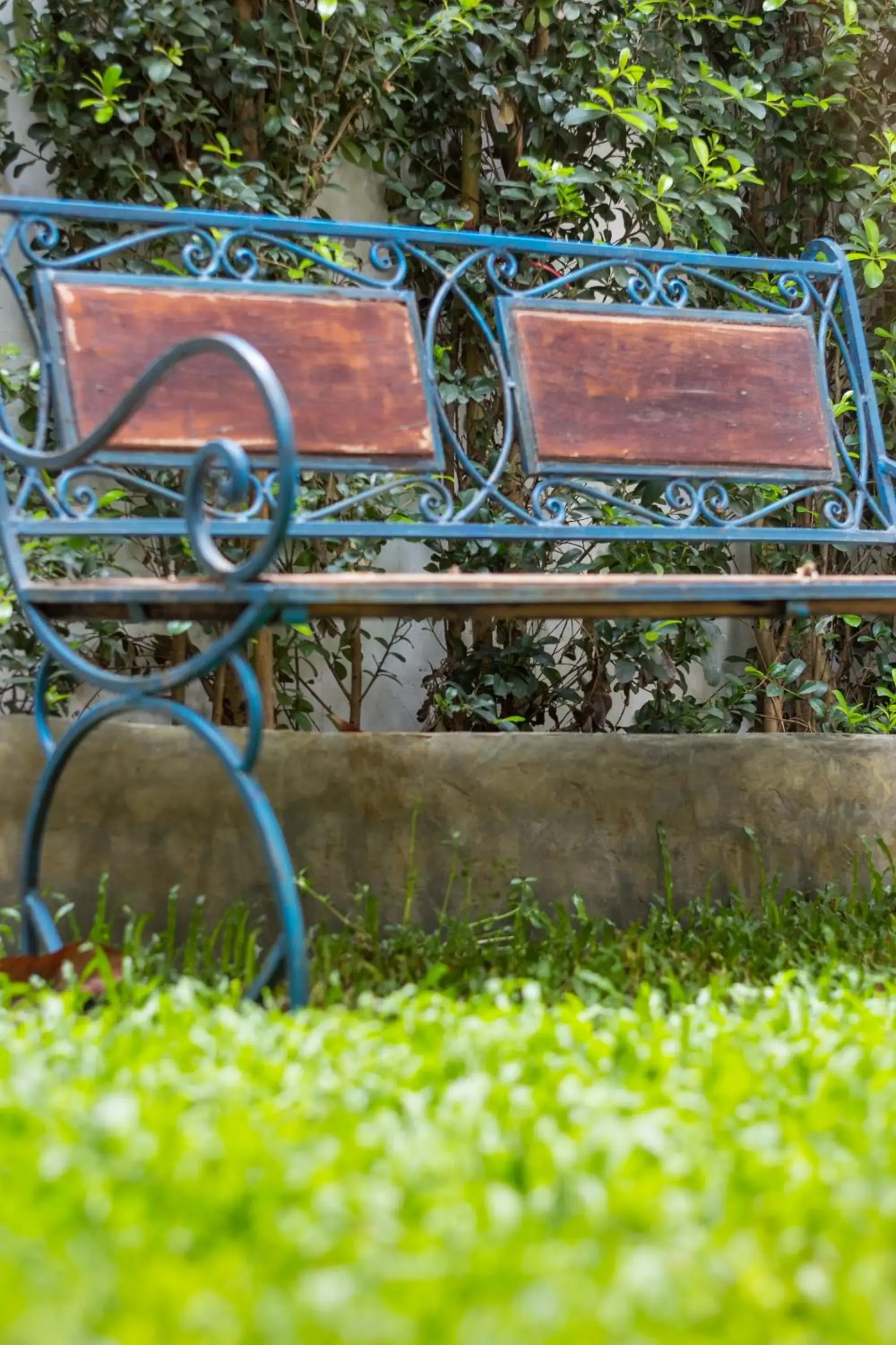 Garden in Changmoi House (Little Village)