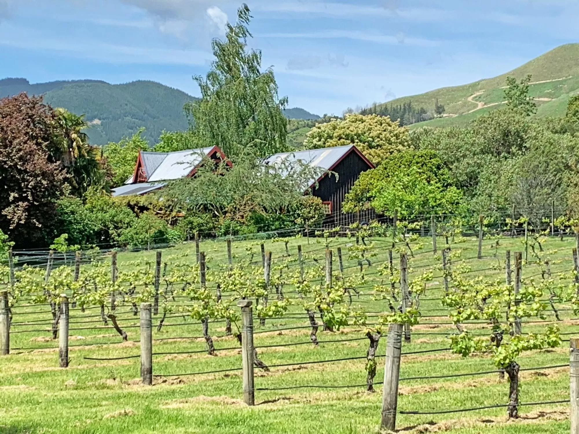 Garden view in Quail Farm, Colonial charm