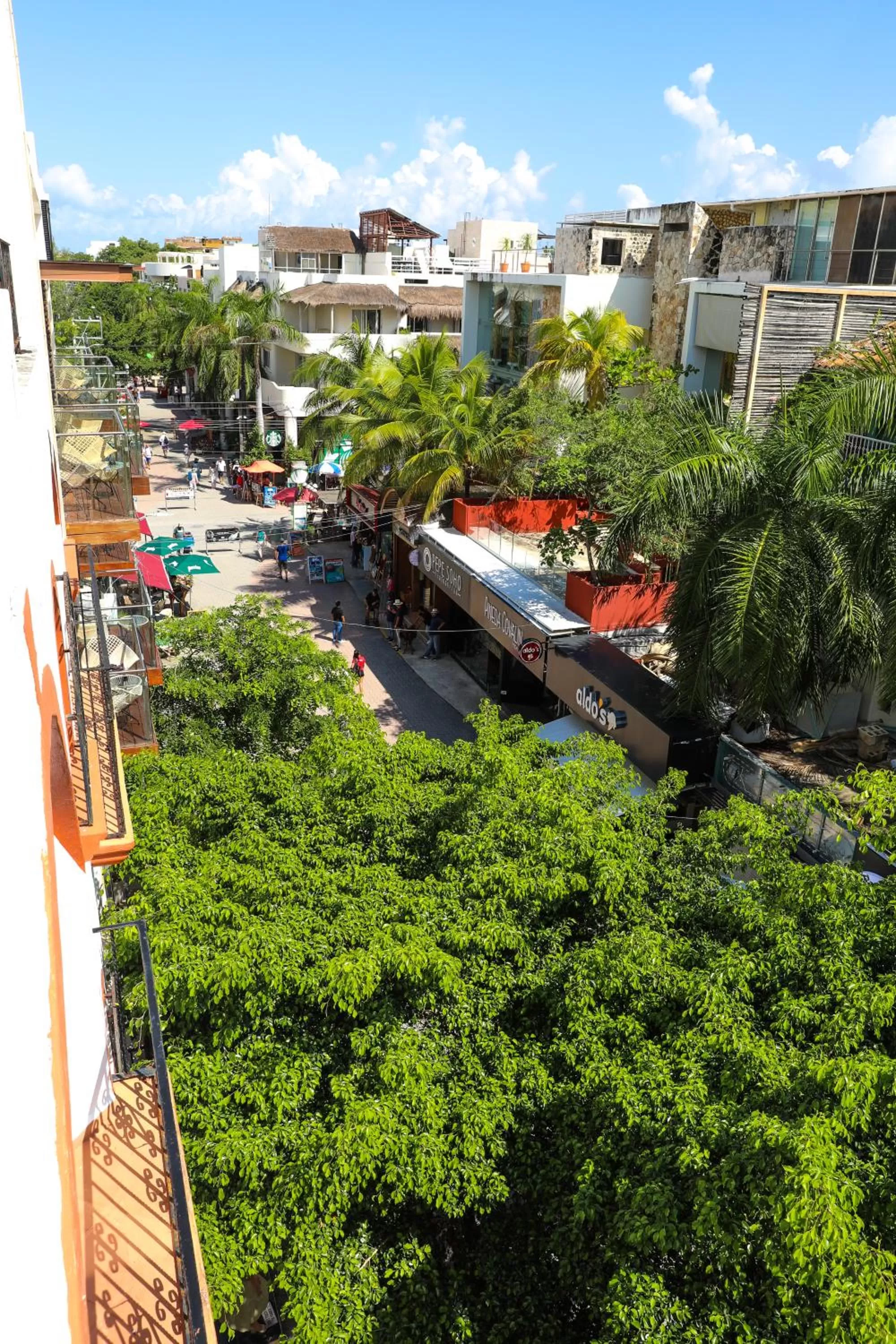 Property building in 5ta AVENIDA Alma y Mar APART HOTEL by BFH