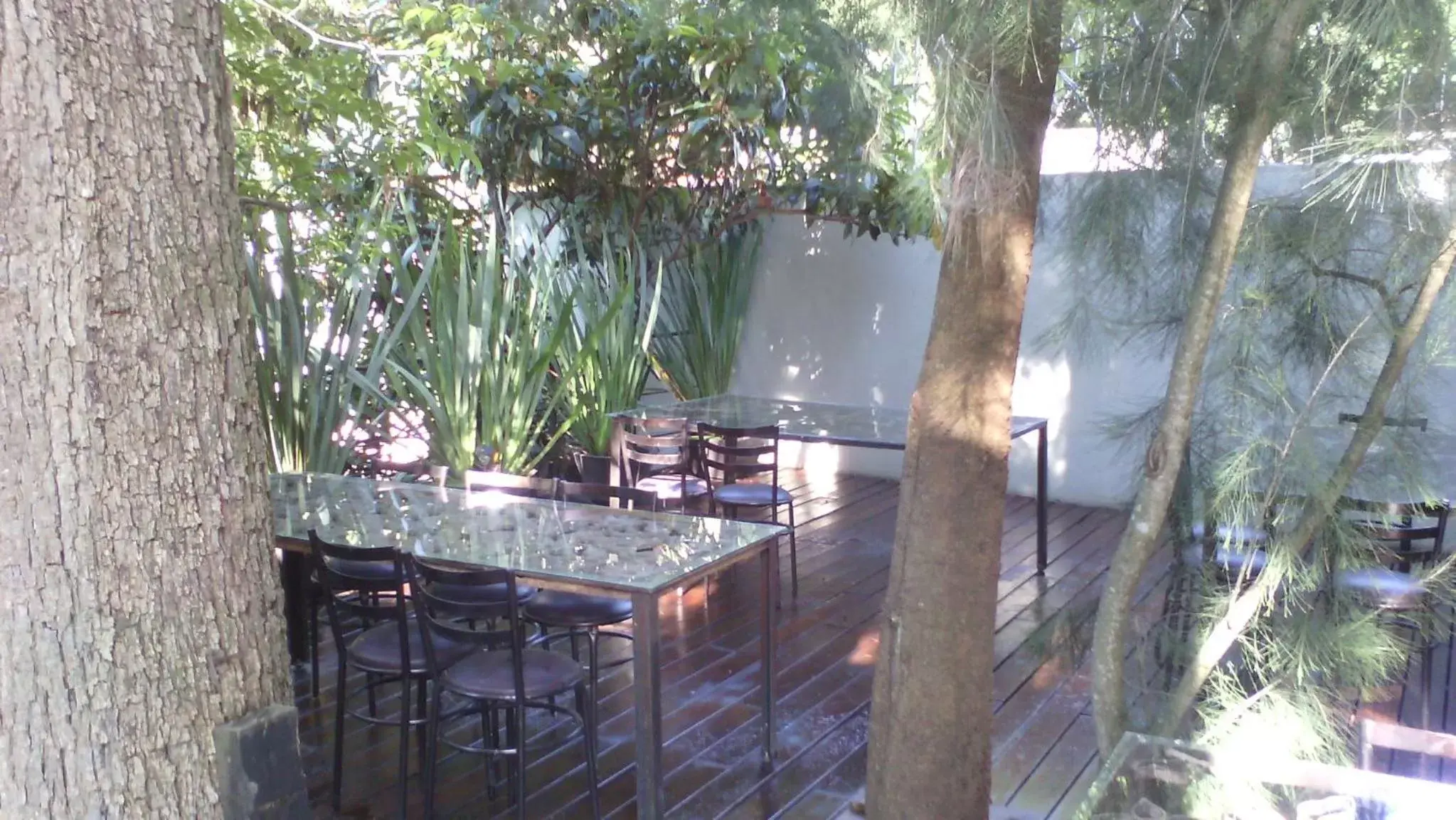 Lounge or bar, Patio/Outdoor Area in Casa Tepoztlán