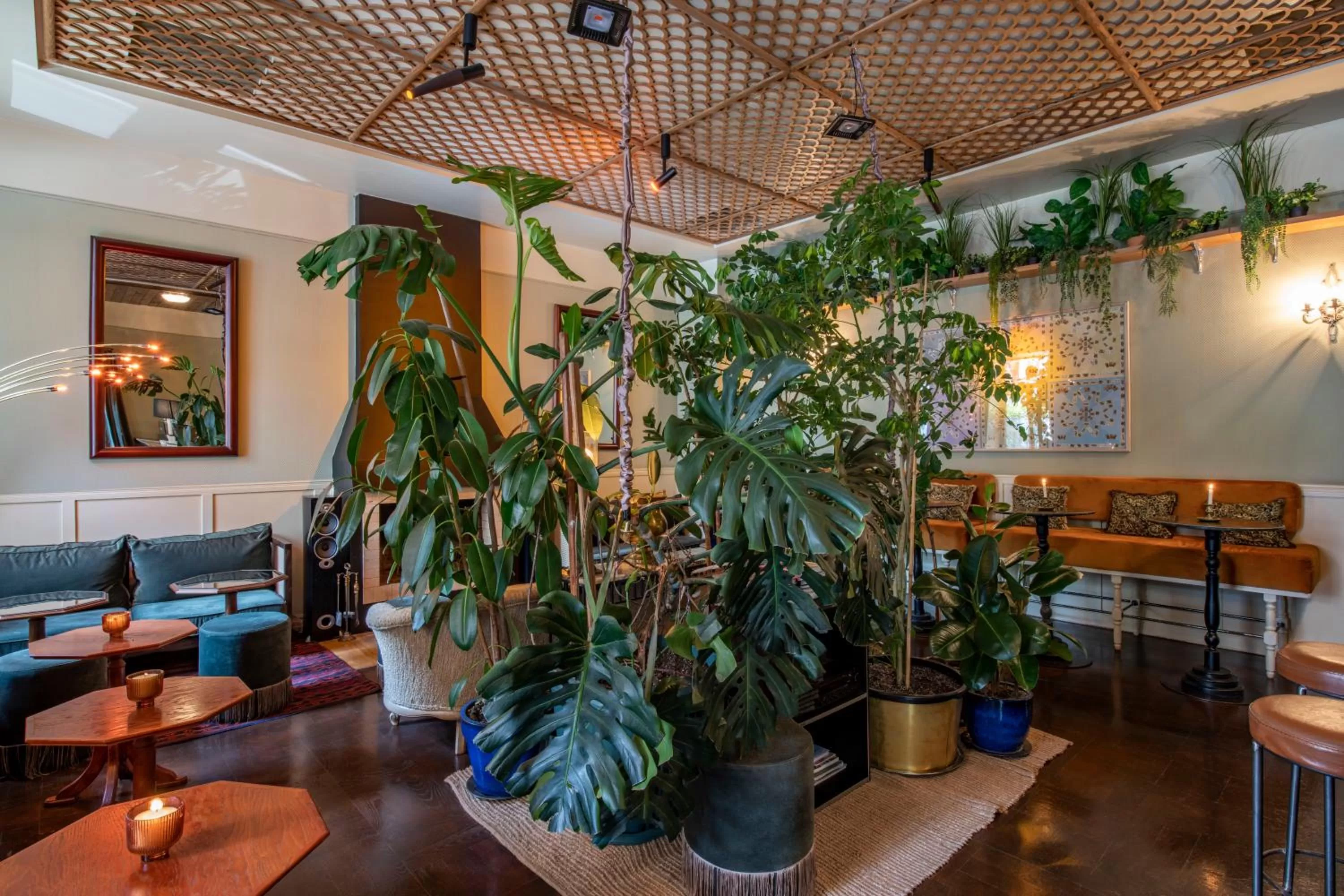 Lounge or bar in Communal Hotel Plekhanovi