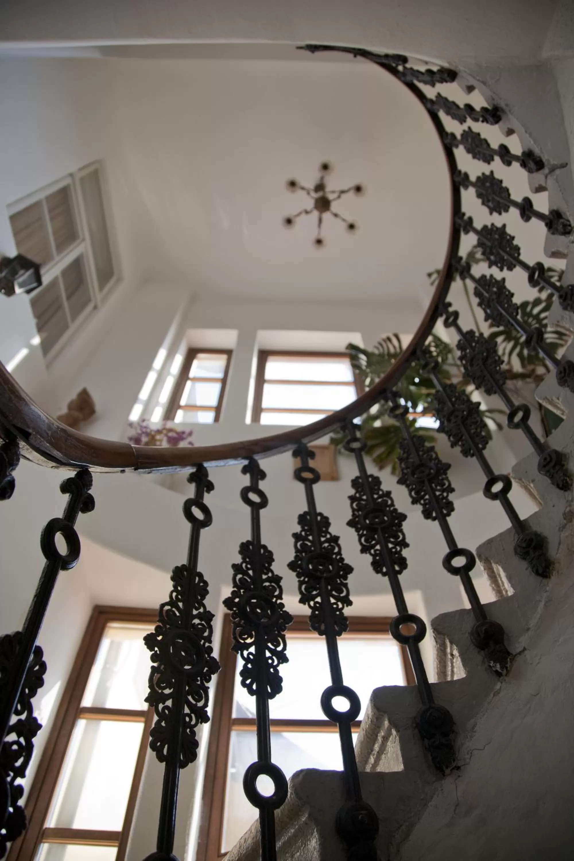 Other in Maksimilian Osijek