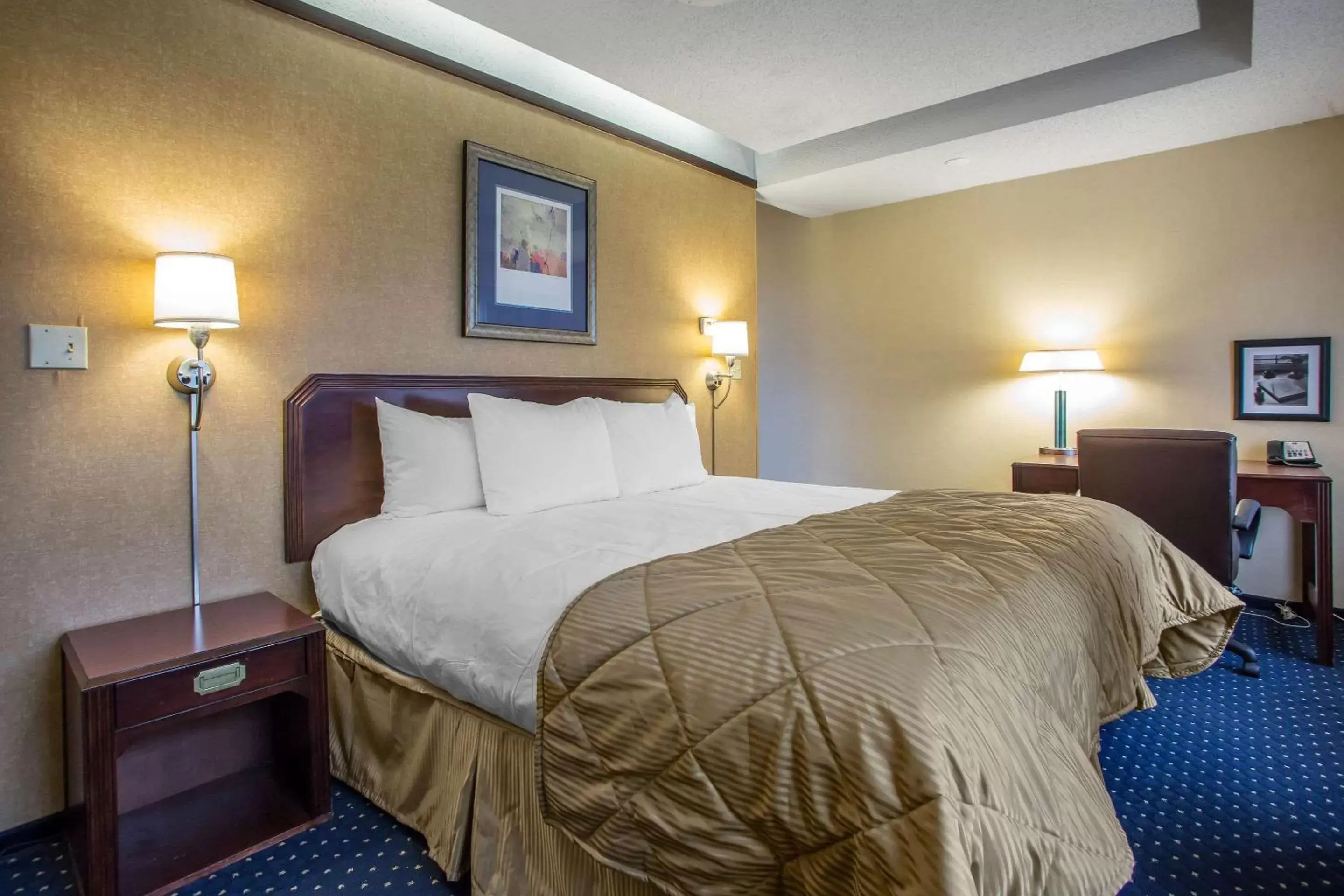 Photo of the whole room, Bed in Clarion Inn Merrillville