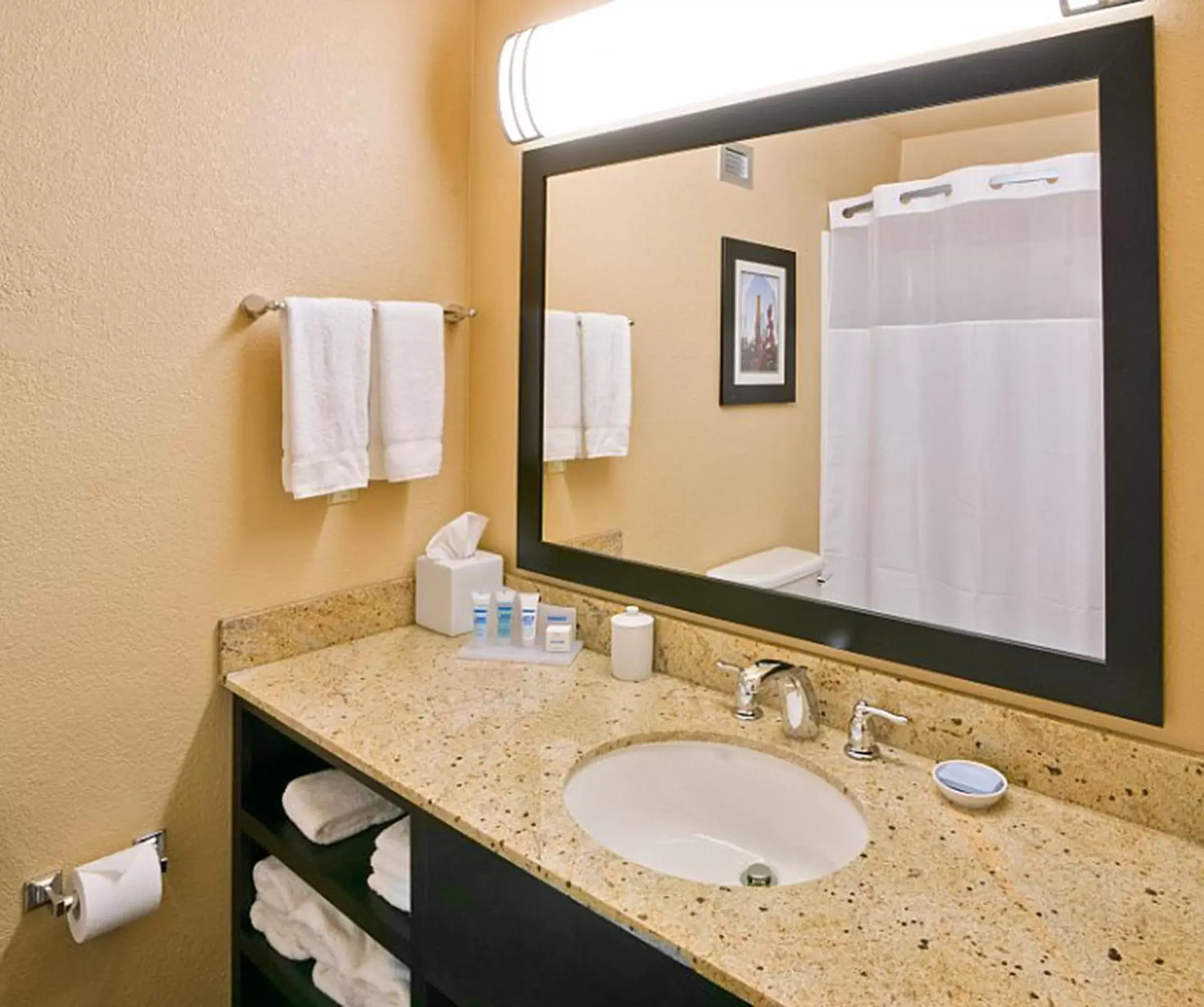 Bathroom in Wyndham Garden Oklahoma City Airport Near Downtown