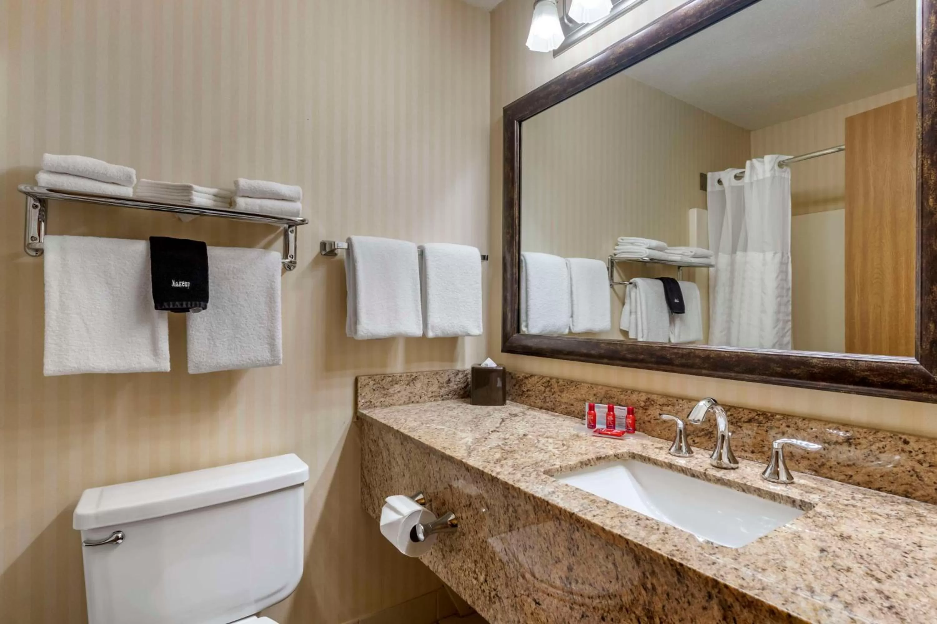 Bathroom in SureStay Plus Hotel by Best Western Buffalo
