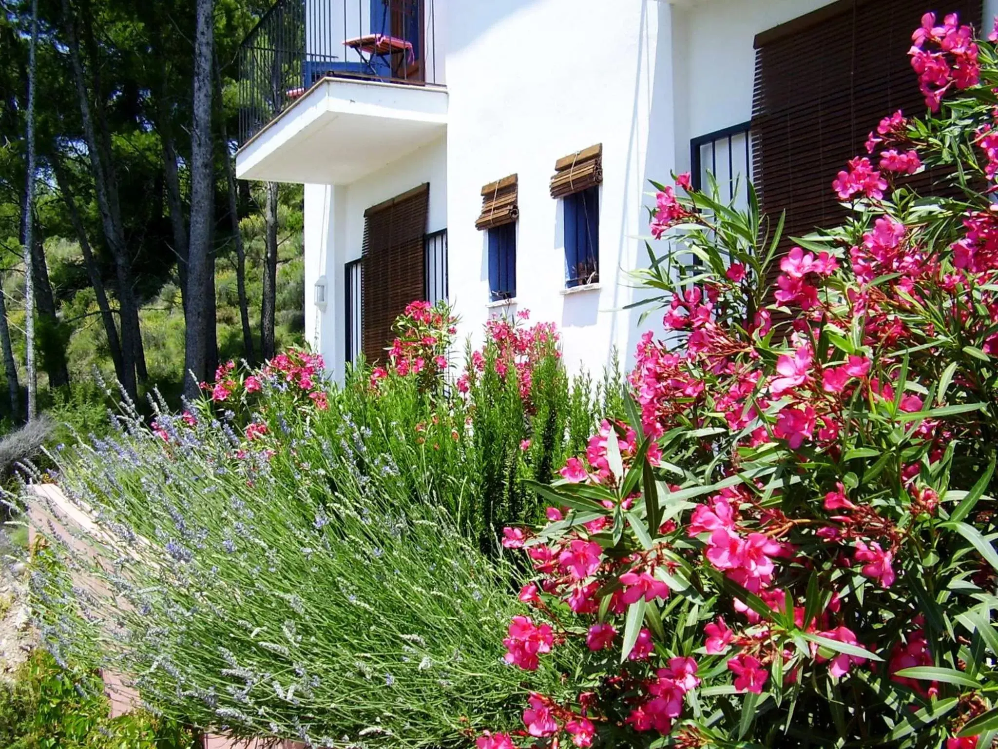 Decorative detail, Property Building in Sharíqua