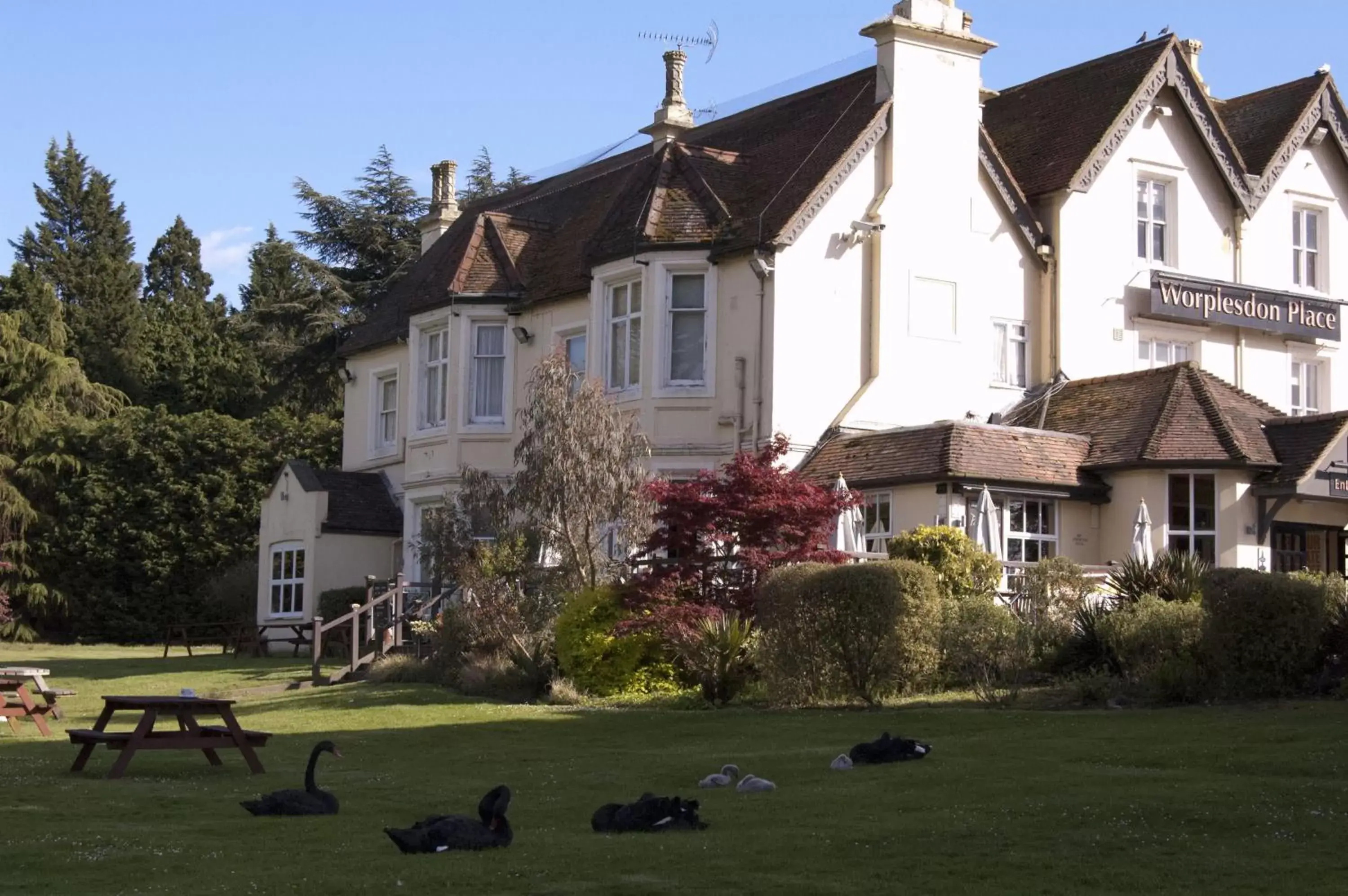 Facade/entrance, Property Building in Worplesdon Place Hotel